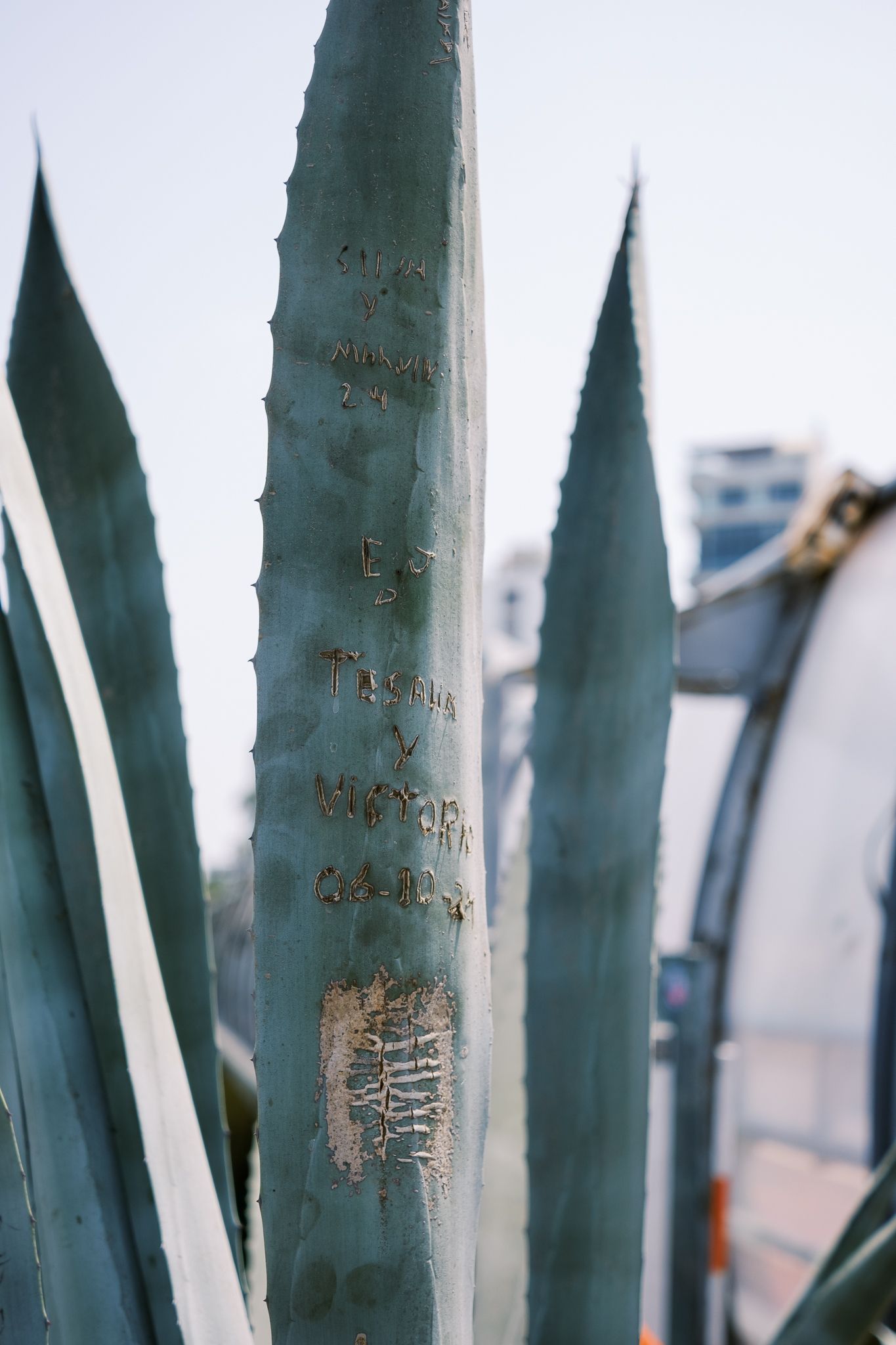 Alexandra Dillow Photography – Lima Peru fine art scene, documentary travel photography, available light, Peru 2025