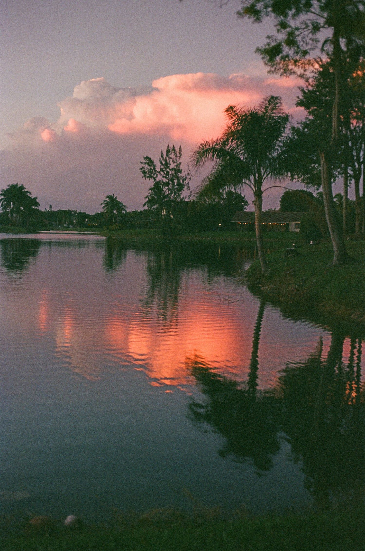 Stunning sunset reflected on calm lake waters with silhouetted palm trees and vibrant pink clouds in tropical setting.
