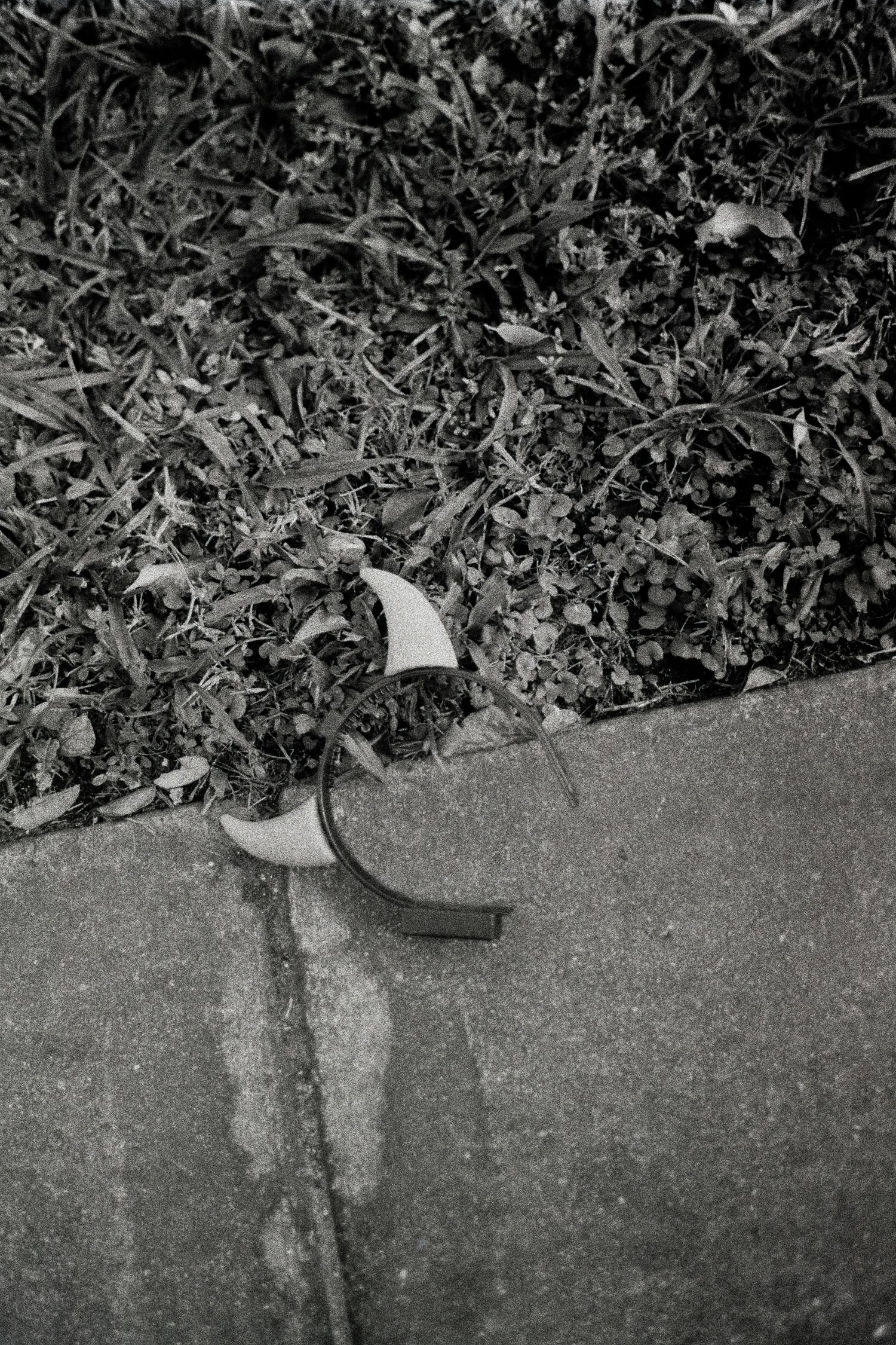 Black and white photo of a broken piece of ceramic or plastic resting on a concrete sidewalk edge beside grass.
