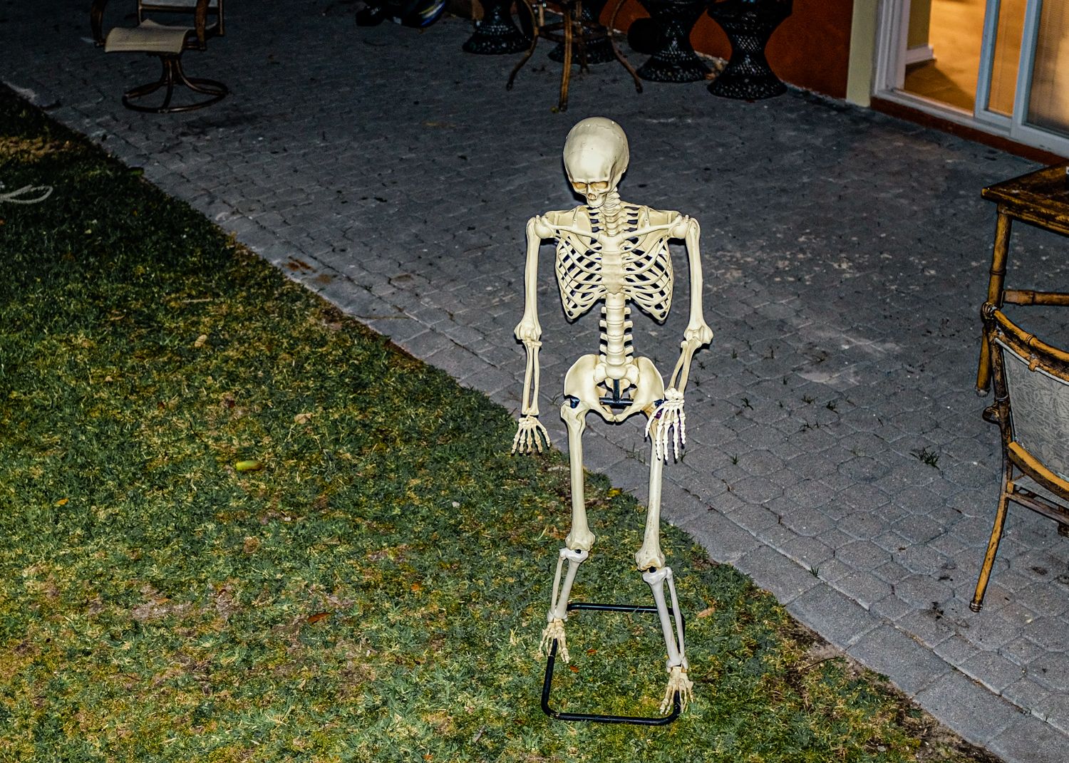 A series of plastic skeletons arranged in a yard as spooky Halloween decorations at night.