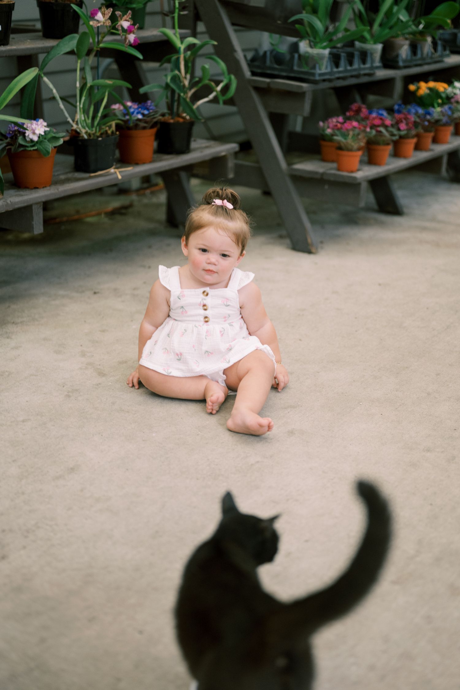 A baby in a pink dress sits on concrete ground with potted plants and their shadows visible in the background.