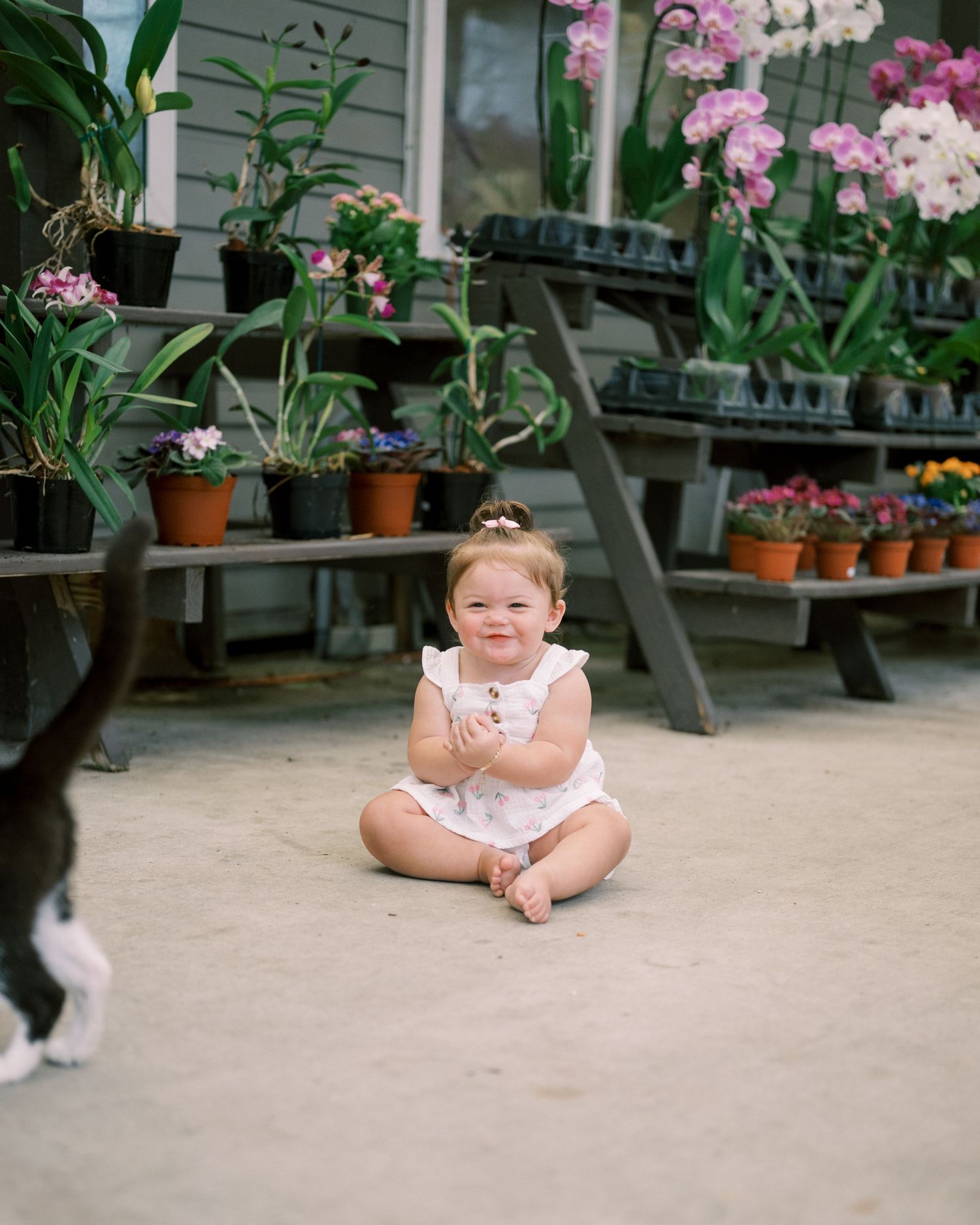 A toddler sits on a concrete floor surrounded by potted orchids and flowering plants in a greenhouse setting.