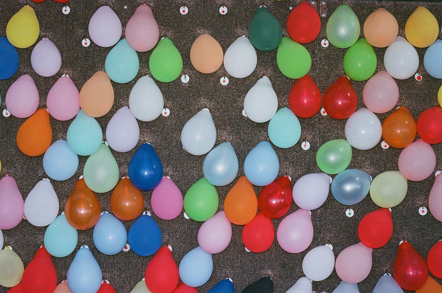 Colorful assorted balloons pinned to a gray board, creating a festive and vibrant display of party decorations.