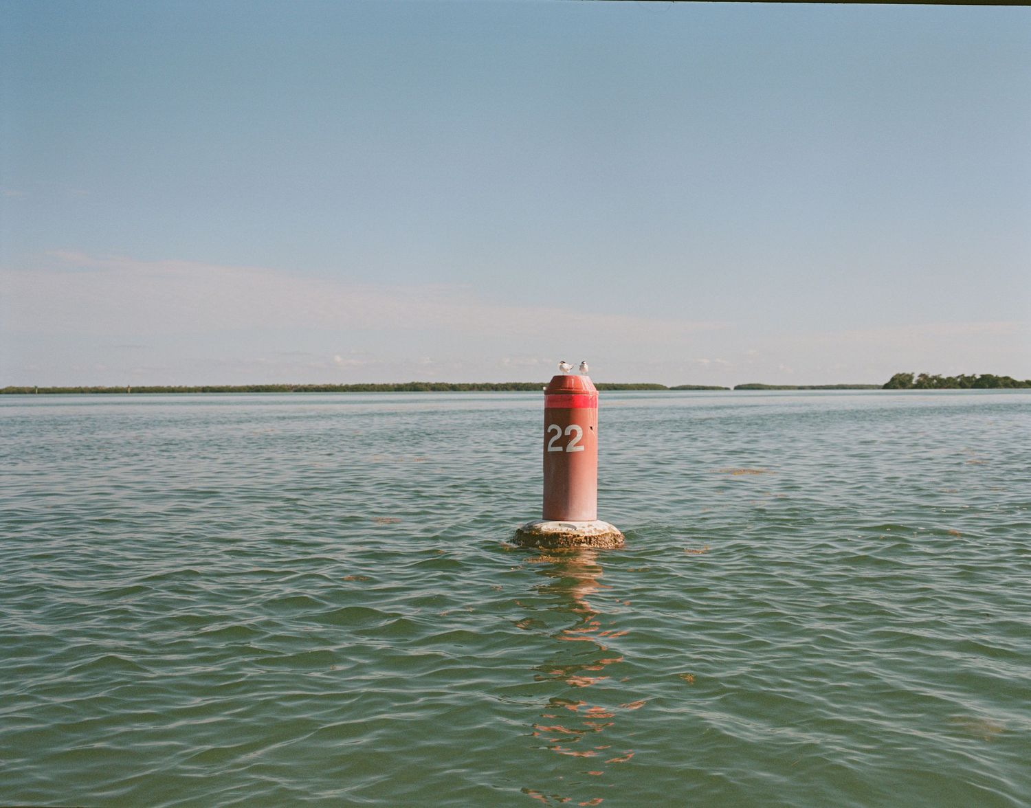 Red navigational buoy number 22 floating in calm green waters with a clear blue sky and distant shoreline.