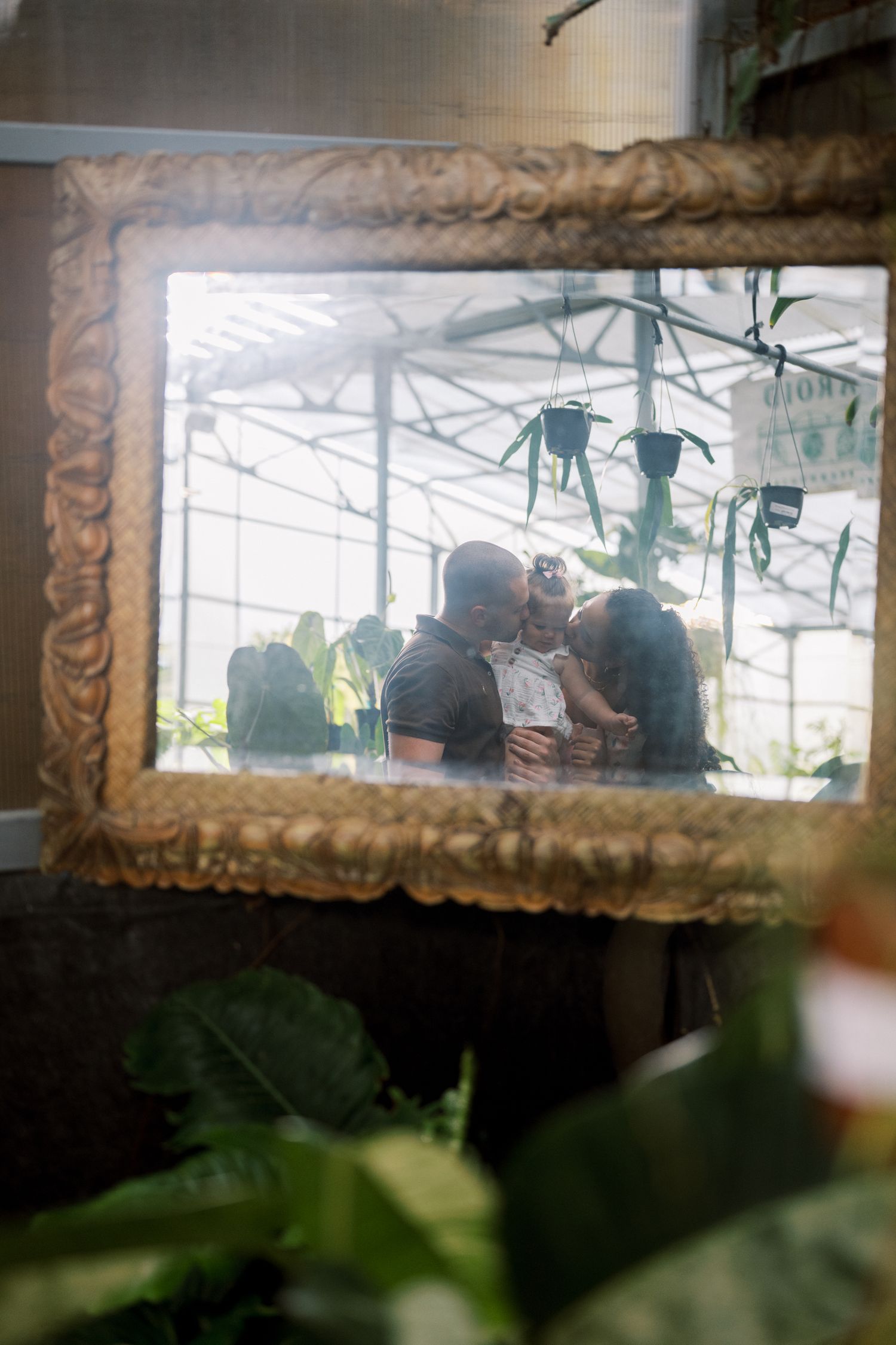 A series of blurry silhouettes visible through a glass window with plants in the foreground.