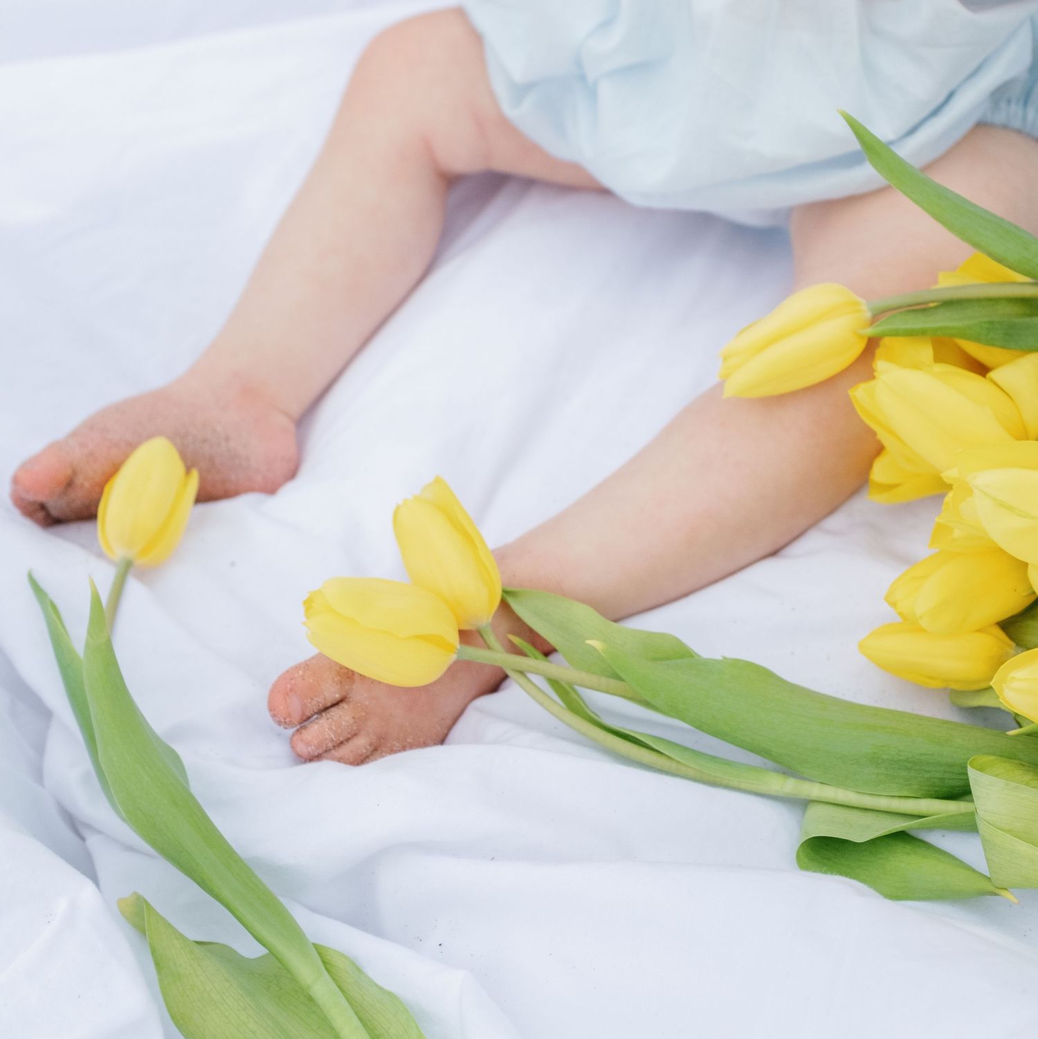 Hands delicately arranging fresh yellow tulips on white fabric, creating a soft and elegant composition.