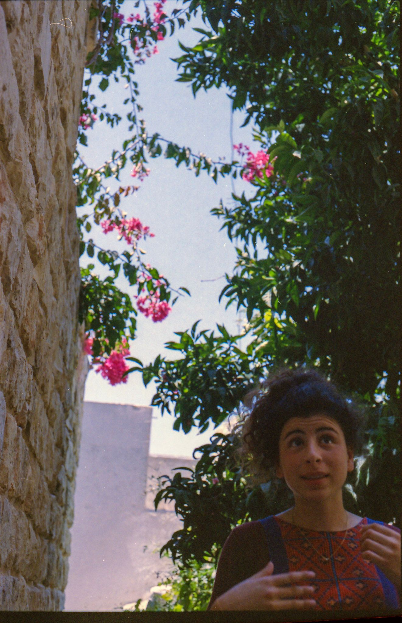 A person stands beneath flowering trees and pink blossoms against a cloudy sky.