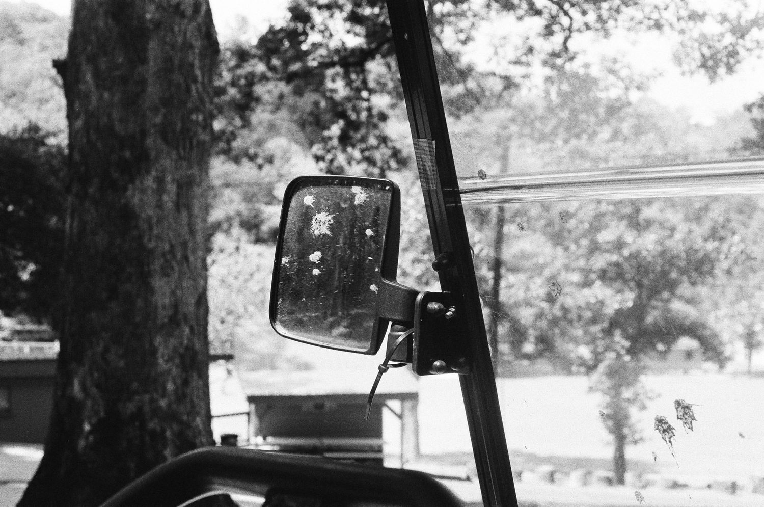 Black and white photo of a vehicle side mirror reflecting trees, captured from inside the cab.