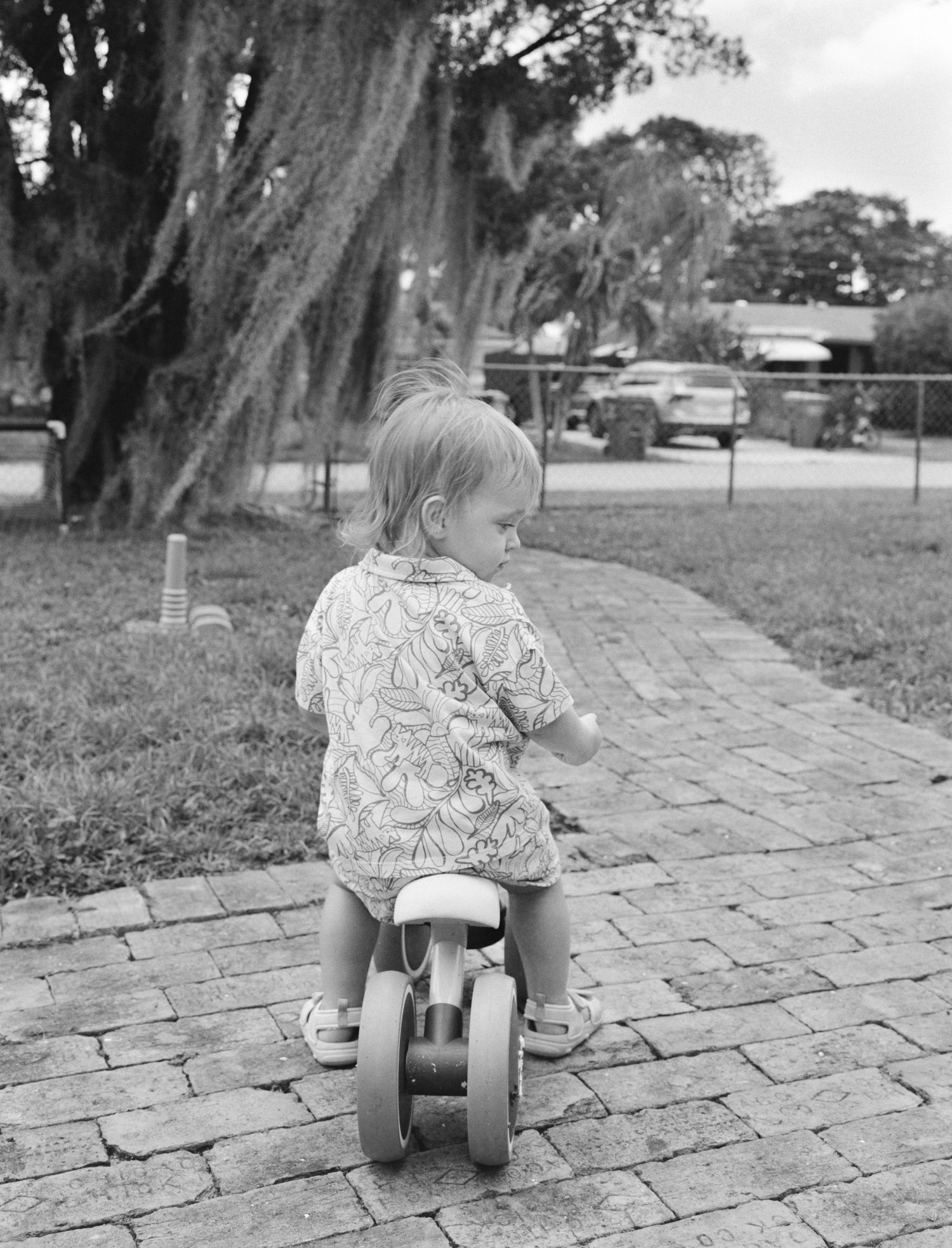 Black and white photo of a toddler riding a small balance bike on a brick path near a large tree.