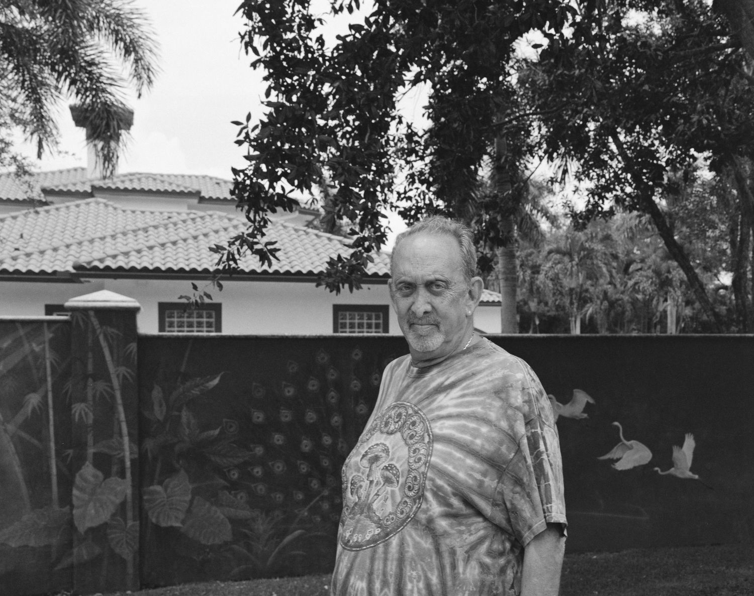 A black and white photo montage showing various outdoor scenes with trees and buildings in a suburban setting.
