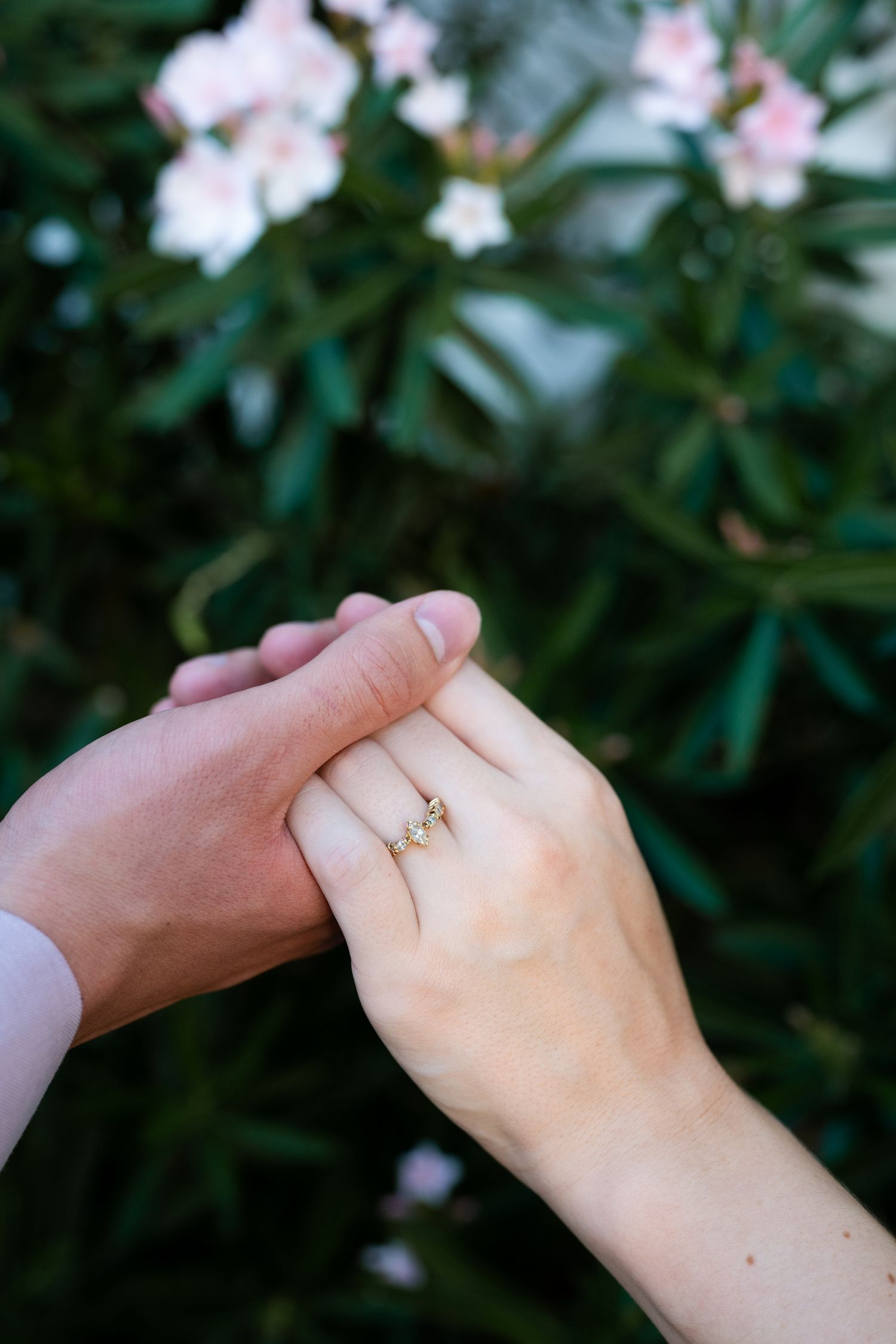 Close-up sequence of hands with engagement ring against pink flowers and green foliage background.