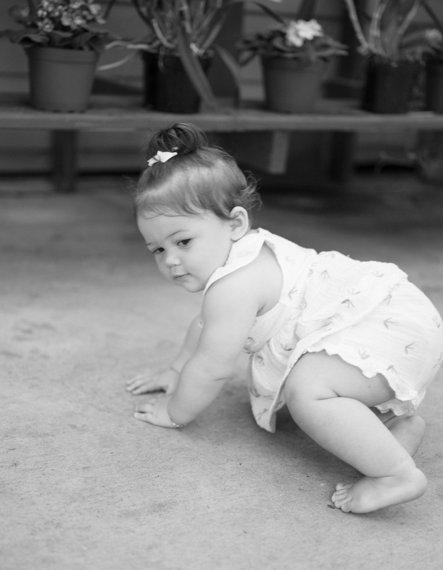 A baby in a white dress crawls on the ground while potted plants sit on benches in the background.