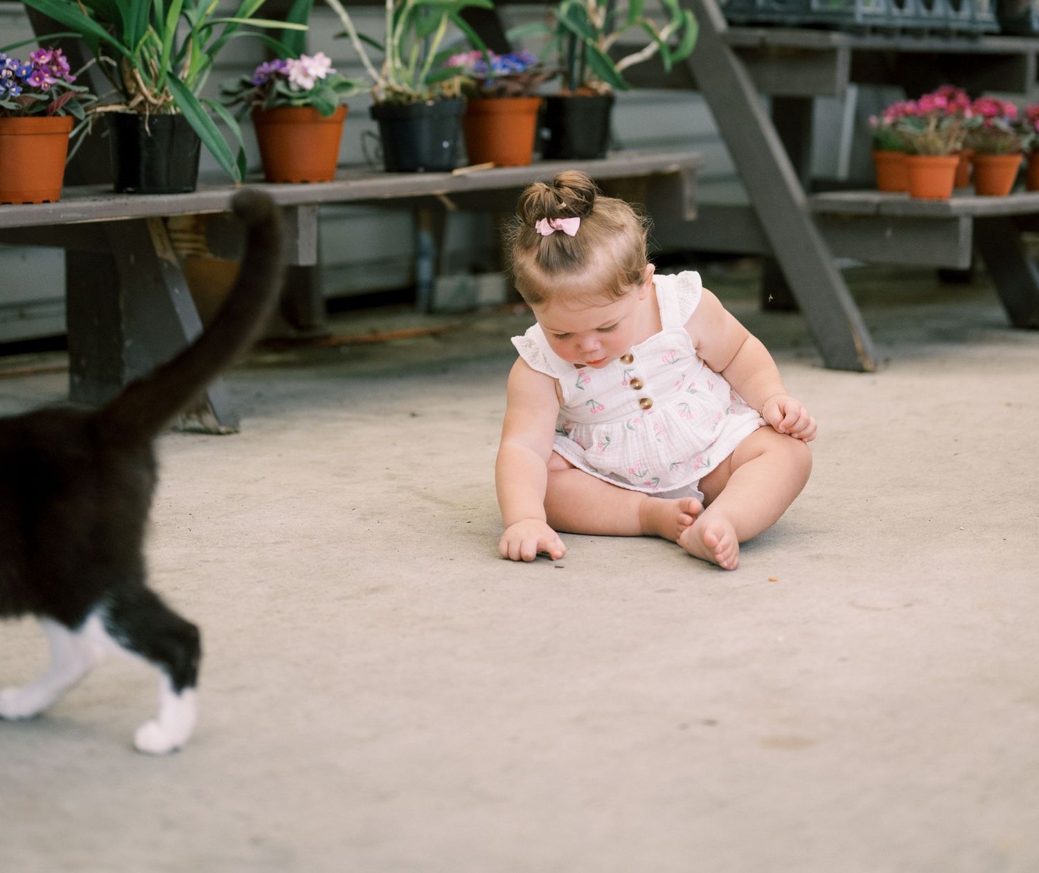 A baby in a floral dress sits on a concrete patio near potted plants and garden furniture.