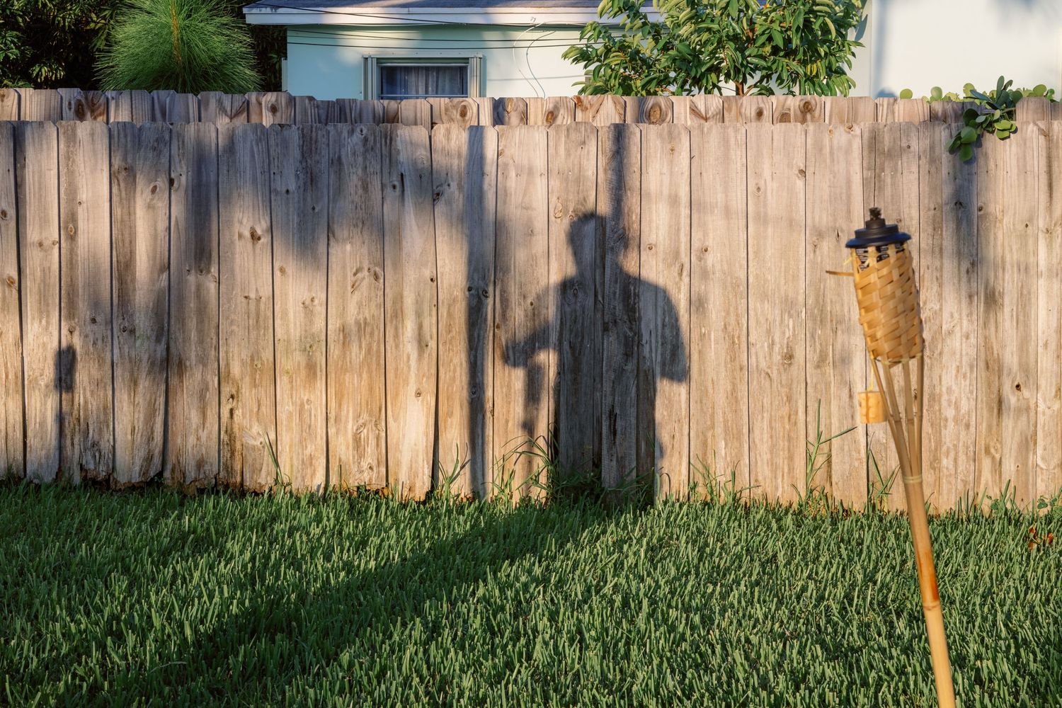 A wooden privacy fence stands in a backyard with green grass and trees visible behind it.