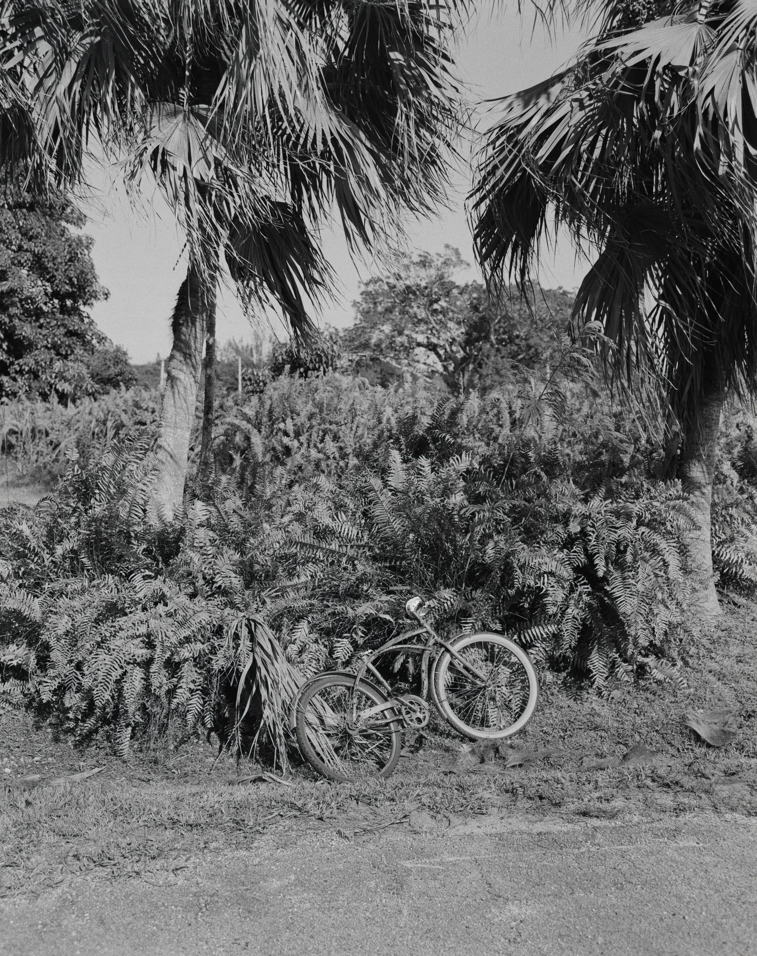 Alexandra Dillow Photography – Lima Peru fine art travel documentary, available light photography, Alexandra Yadgaroff Peru 2025