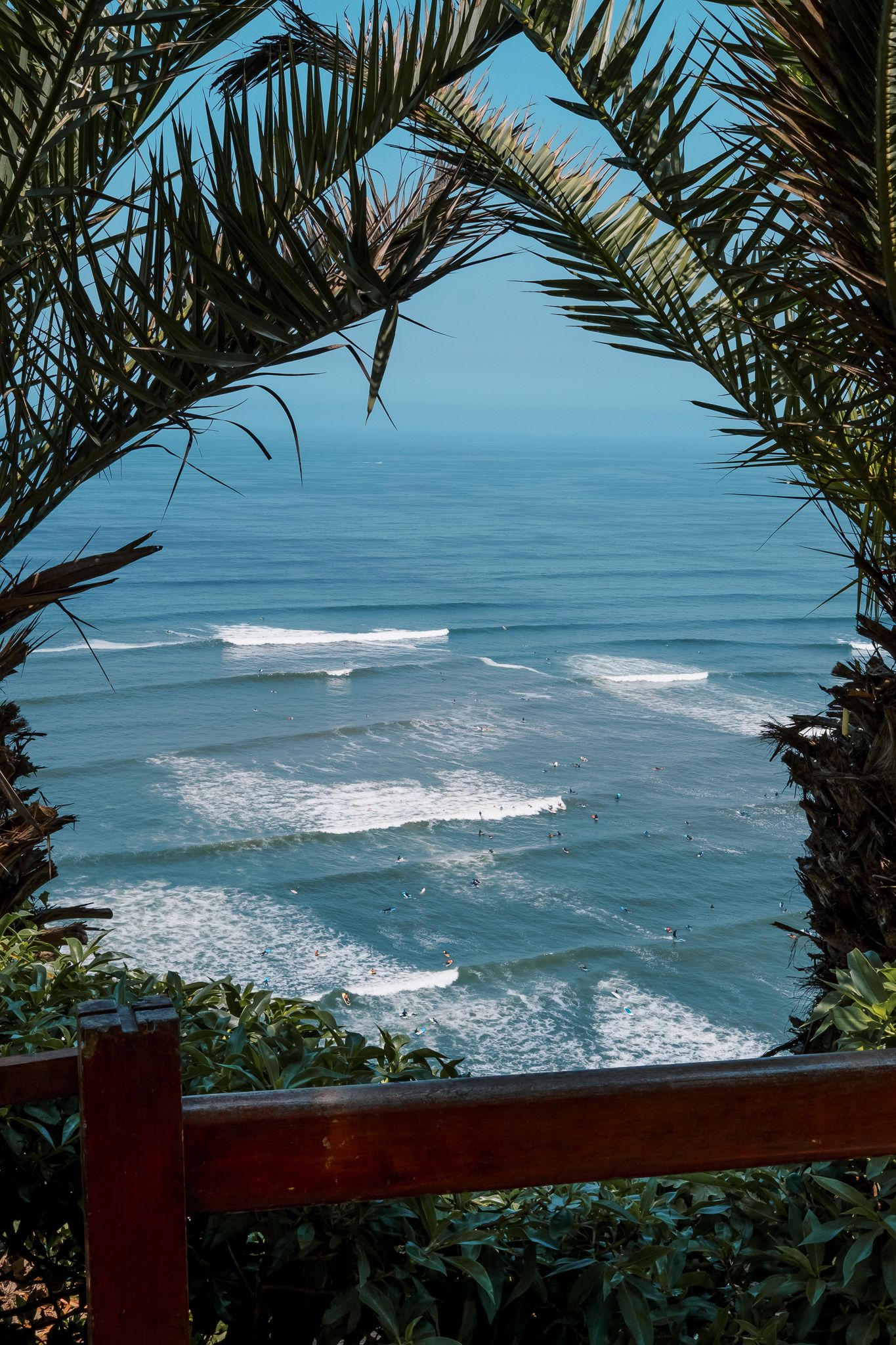 Ocean waves viewed through palm trees and lush greenery from an elevated coastal lookout with a wooden railing.