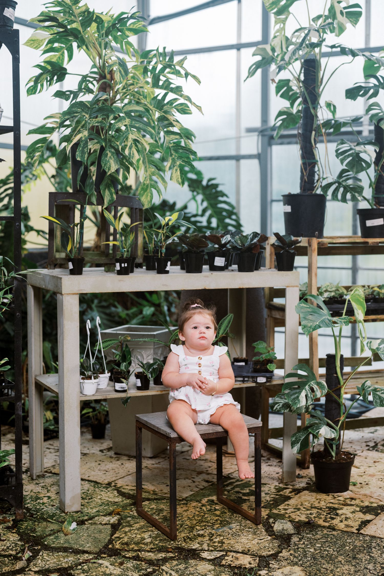 Small child sits among potted plants in a greenhouse with natural light streaming through glass panels.