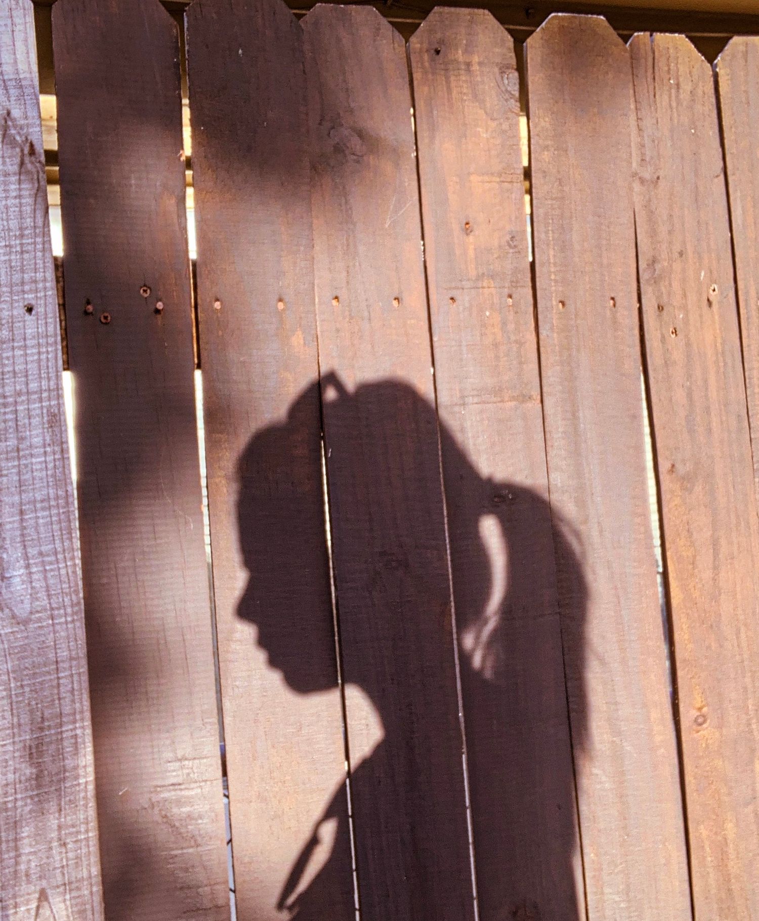 Shadow of a girl with a ponytail cast on a wooden fence in warm sunlight.