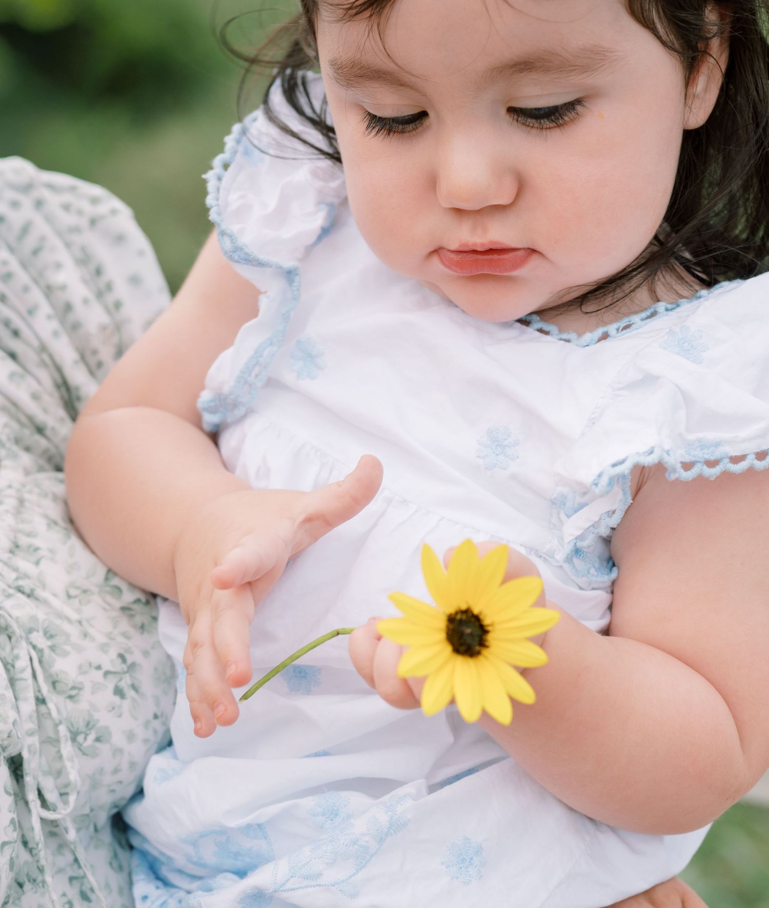 A small child in a white lace dress delicately holds a bright yellow sunflower bloom.
