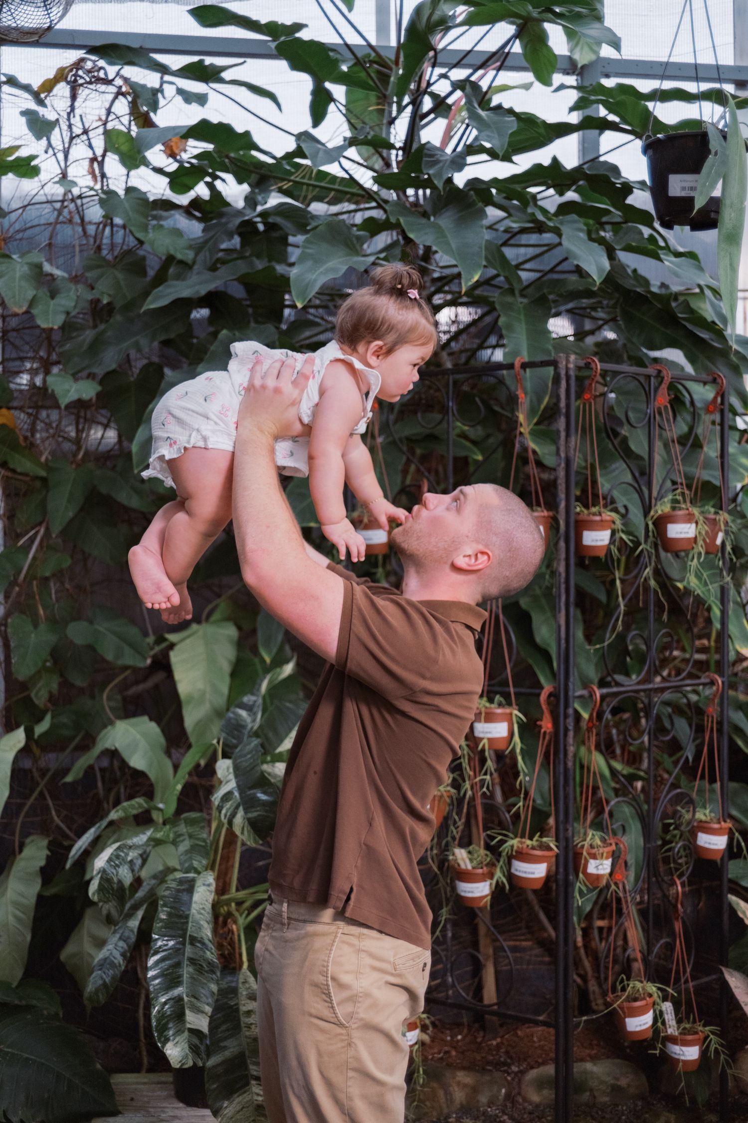 Person in brown shirt watering plants in a greenhouse with hanging pots and lush greenery.