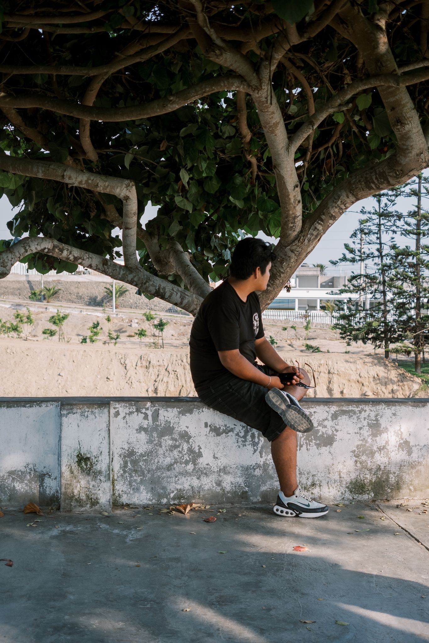Man in black t-shirt sitting on concrete wall under large tree, wearing shorts and sneakers outdoors.