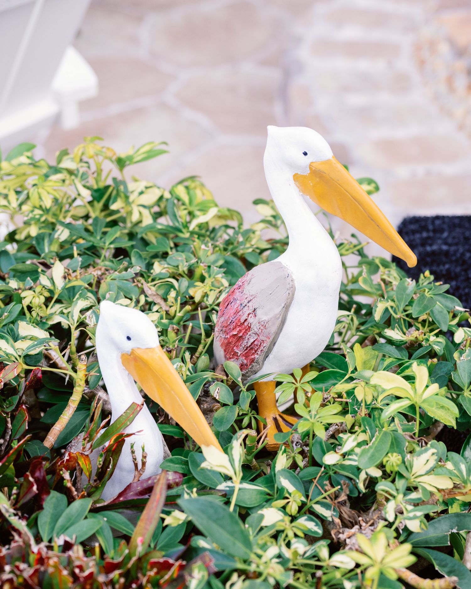 White pelicans peeking through green foliage in a natural garden setting.