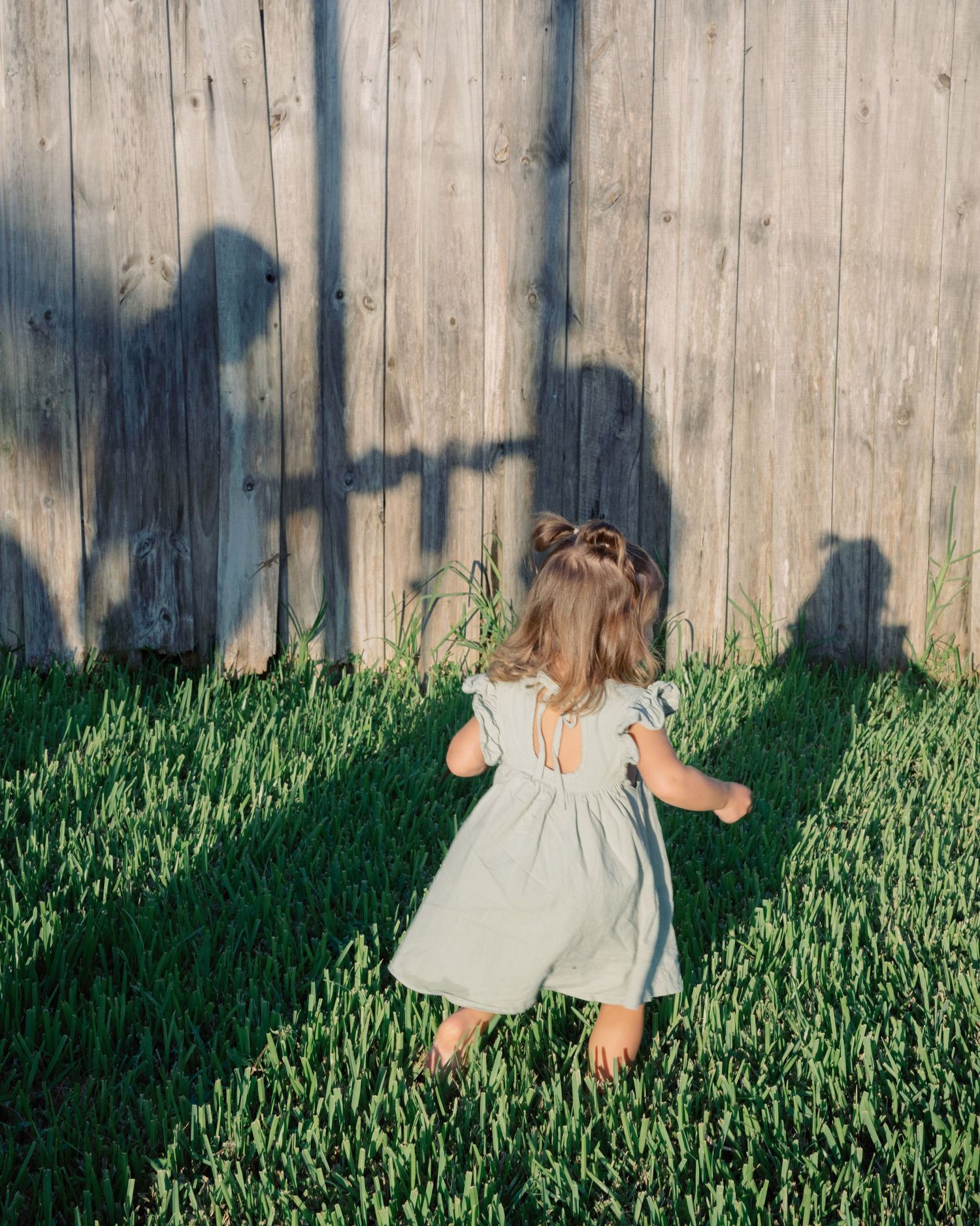 Artistic sequence showing shadows cast on wooden fence with grass in foreground.
