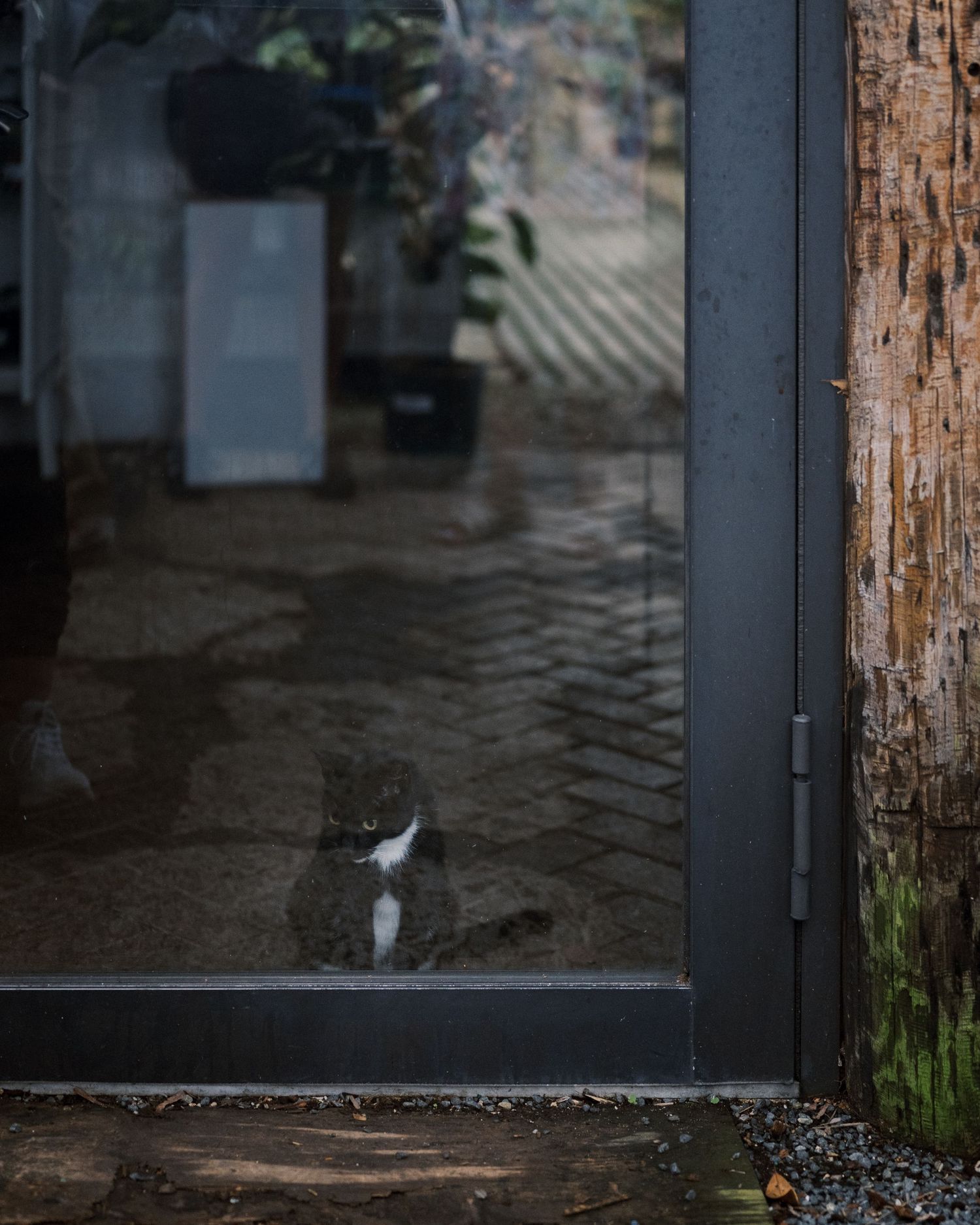 A small white bird perches on a dark doorstep near a wooden post in a dimly lit urban setting.
