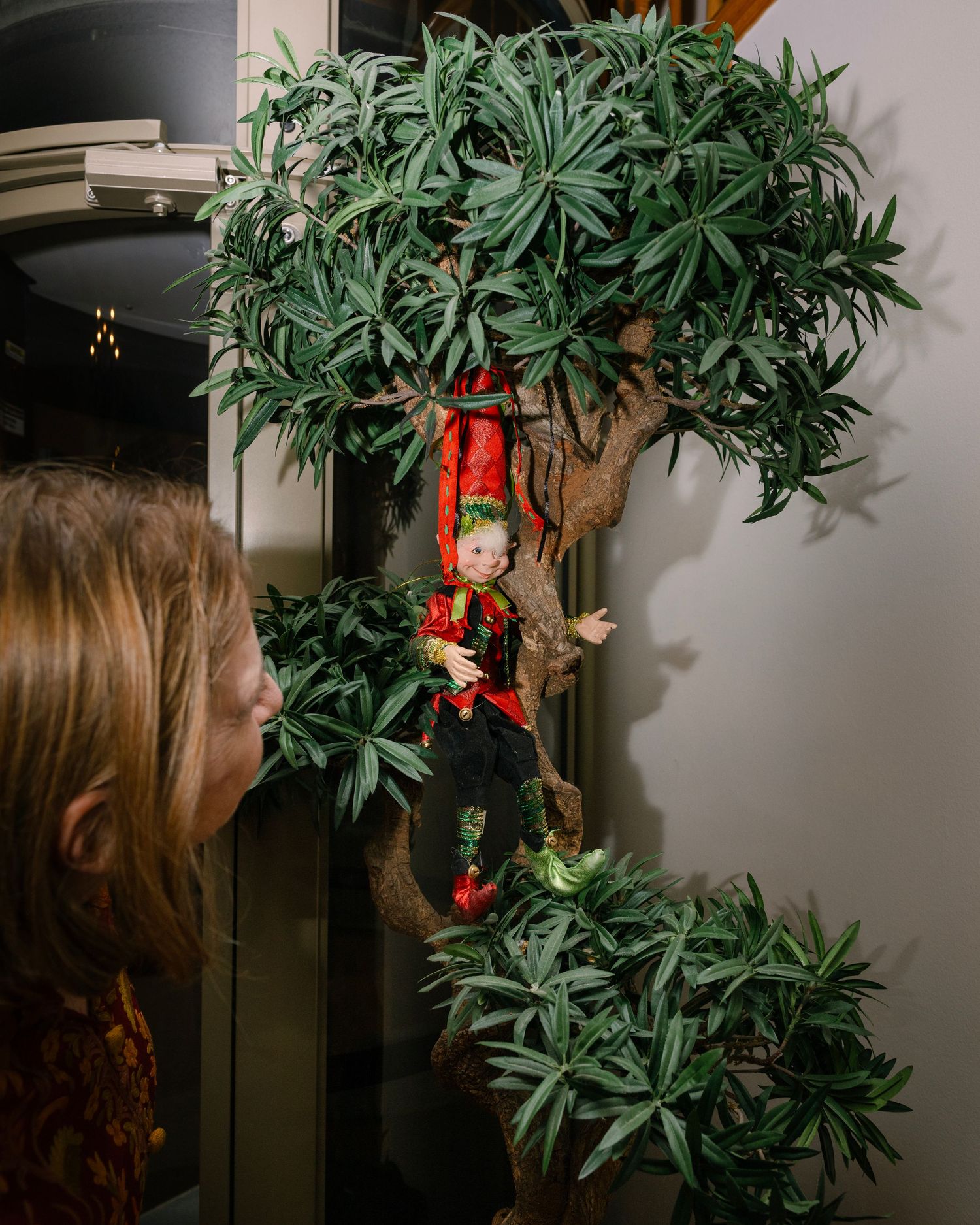 Indoor plant with large green leaves and red holiday decorations visible in low light setting.