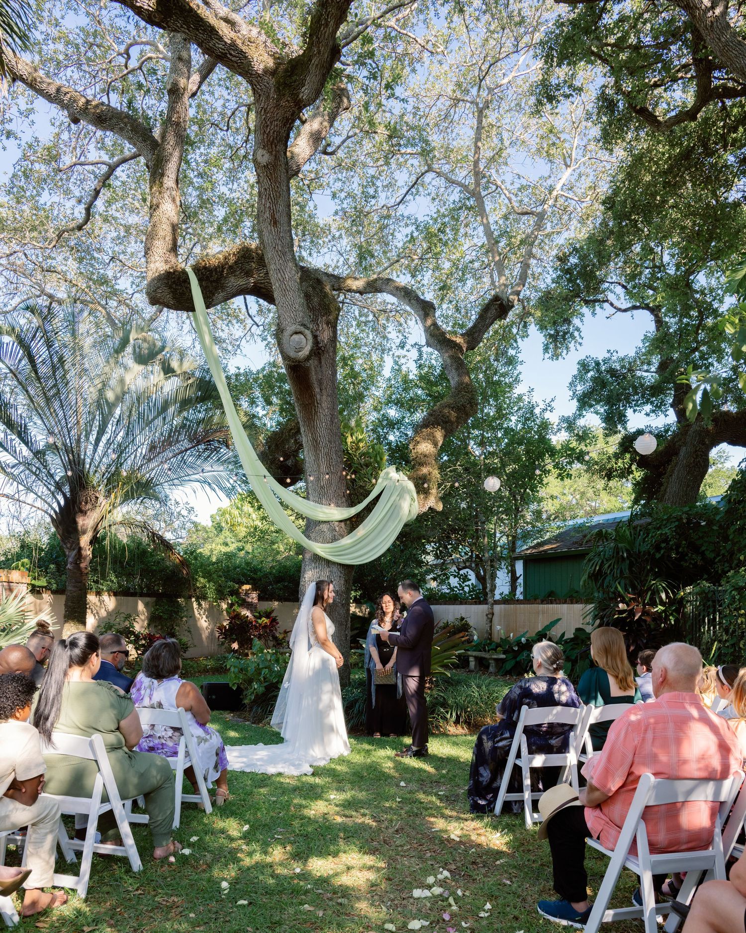 An outdoor wedding ceremony takes place under a large tree with flowing fabric draping from its branches in a garden setting.