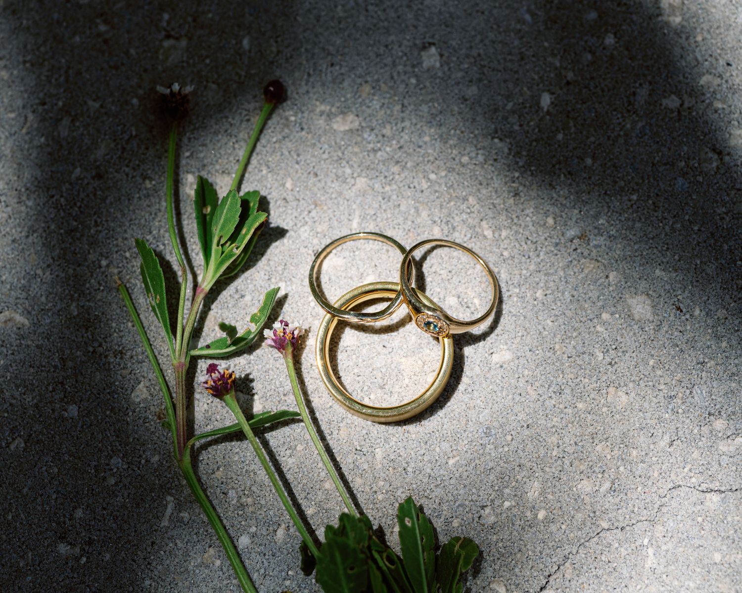 Wedding rings and delicate purple flowers arranged artistically against a textured gray background.