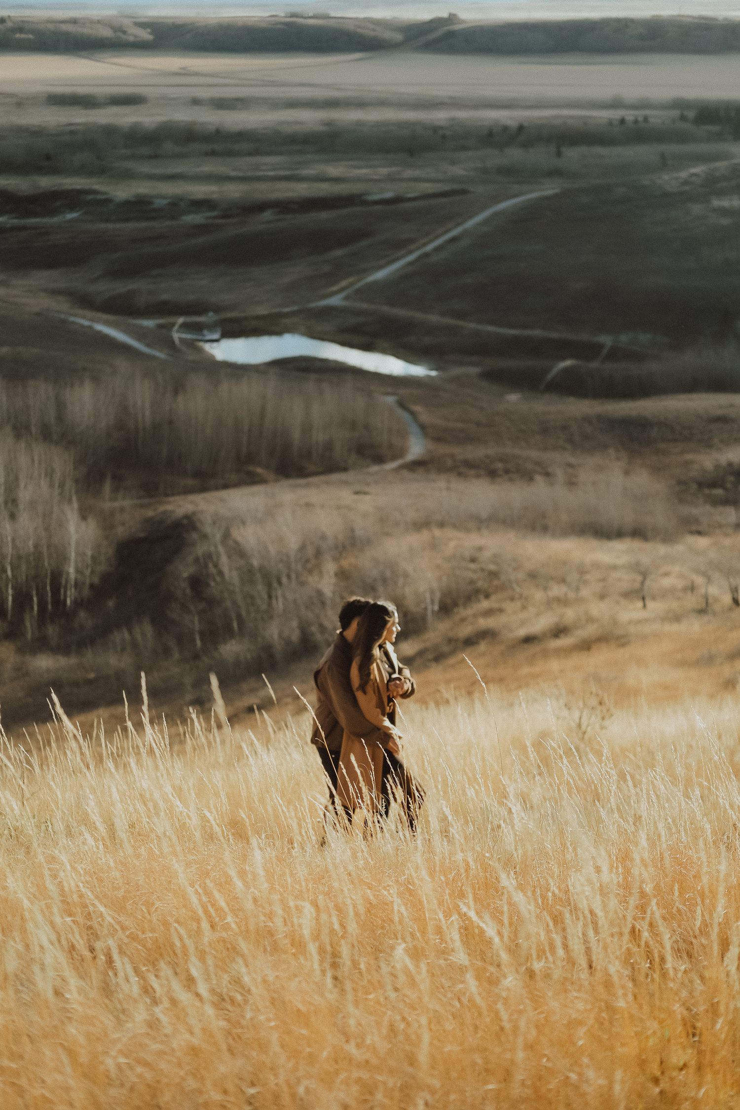 Scenic panoramic view of rolling prairie hills with golden grass and distant mountains under an overcast sky.