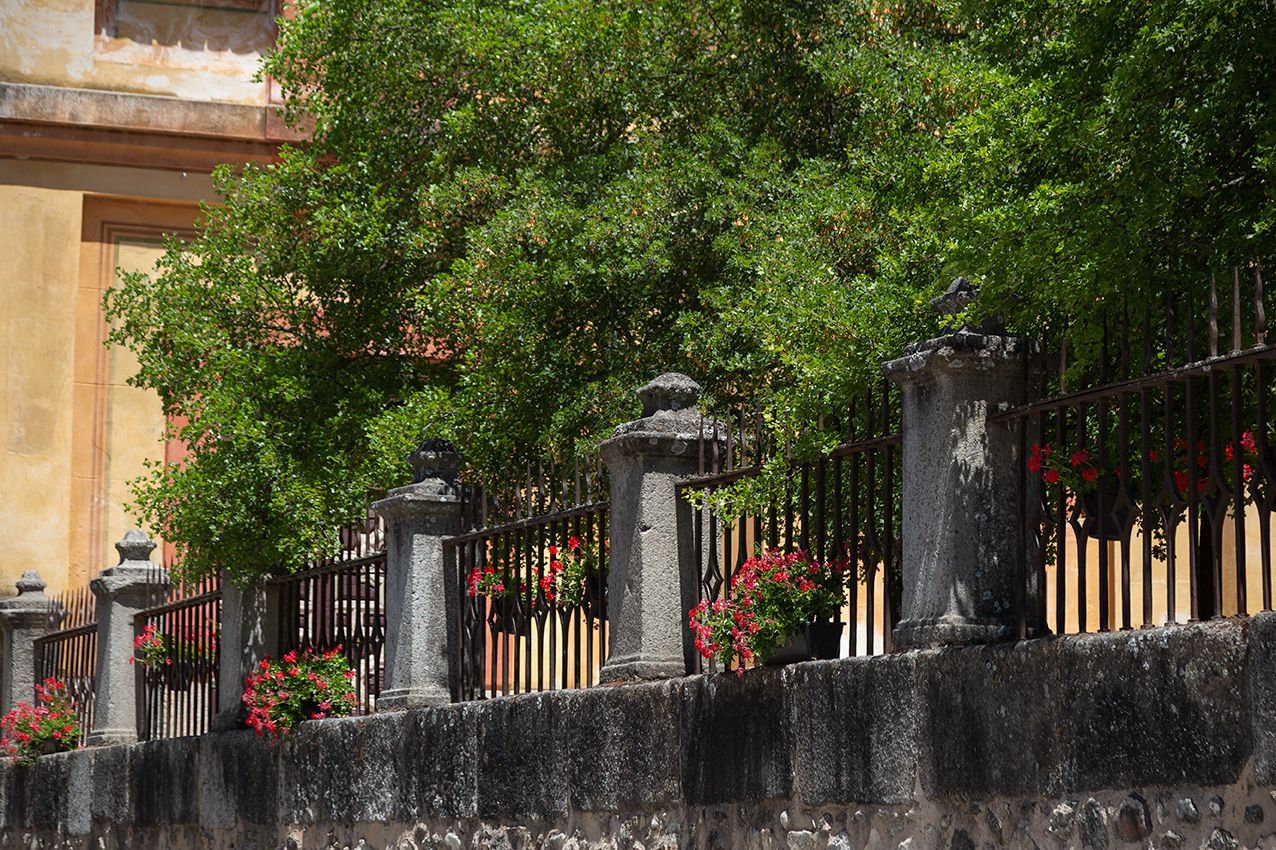 Vibrant red flowers bloom along an ornate iron fence beside lush green trees and a stone wall.