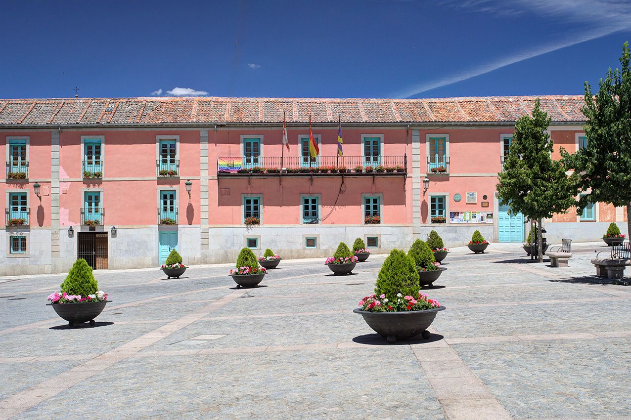 Pink historic town hall building with green shutters, decorative topiaries in planters on a sunny plaza.