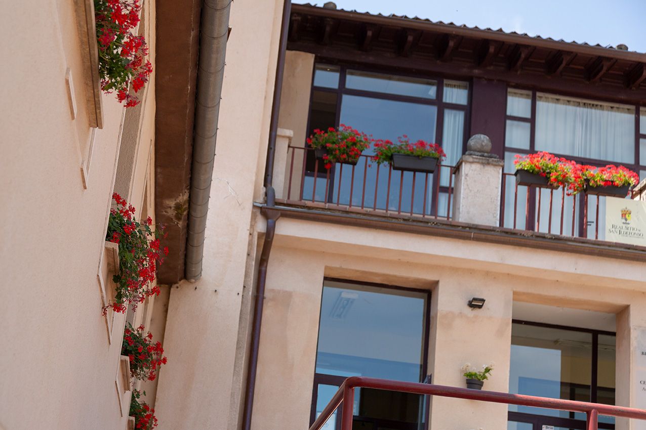 Colorful red geraniums adorn the balconies and window boxes of a charming European building facade.