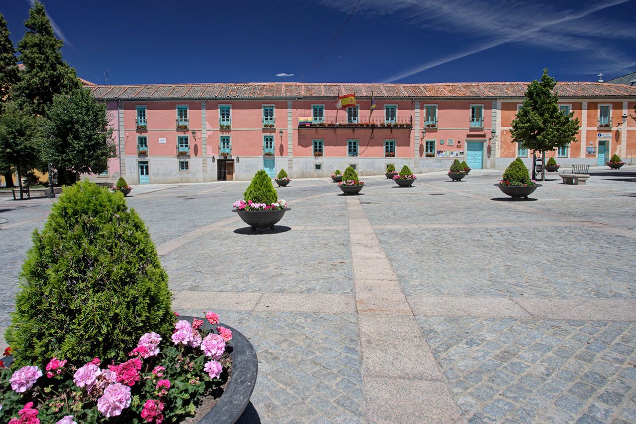 A grand pink building with a spacious cobblestone plaza adorned with trimmed cypress trees and colorful flower pots under a blue sky.