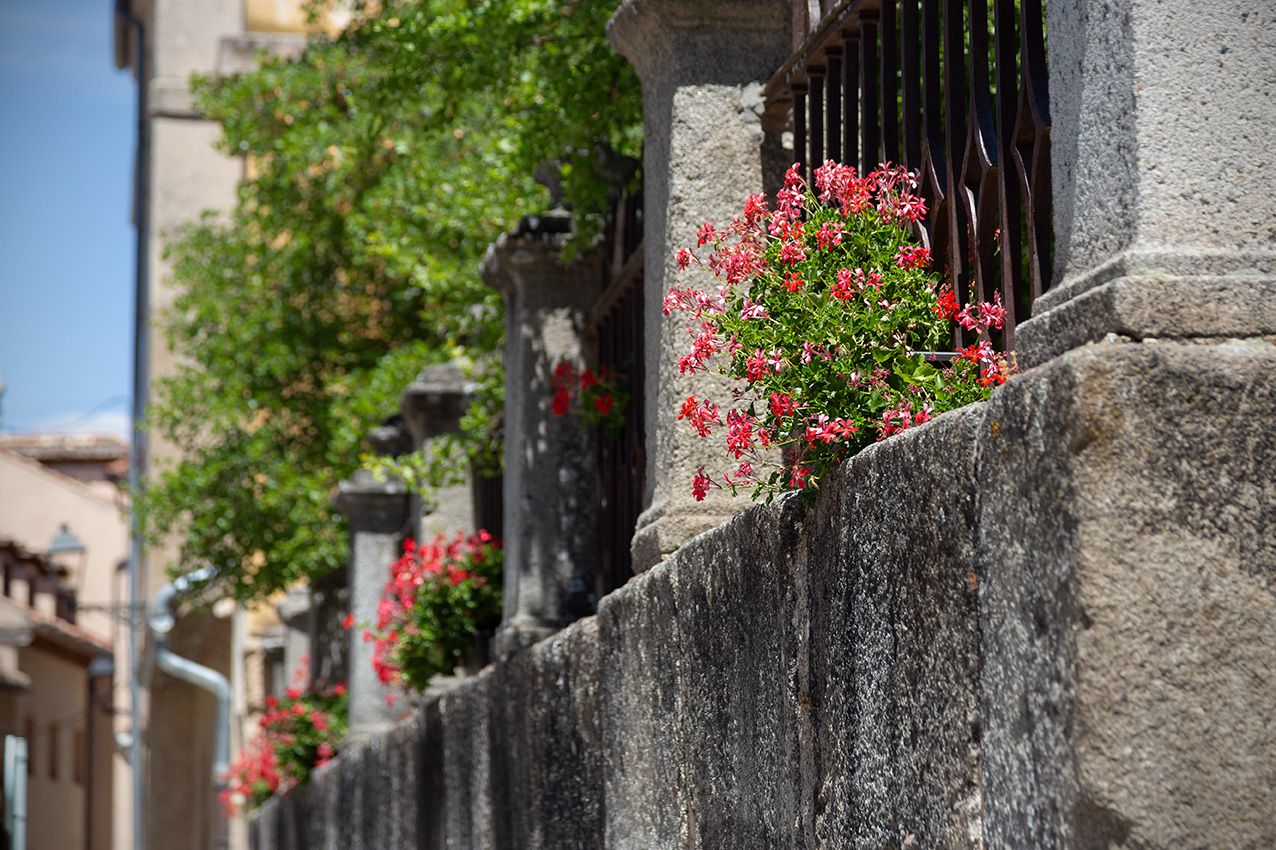 Red geraniums spill over a rustic stone wall with iron railings along a historic European street.