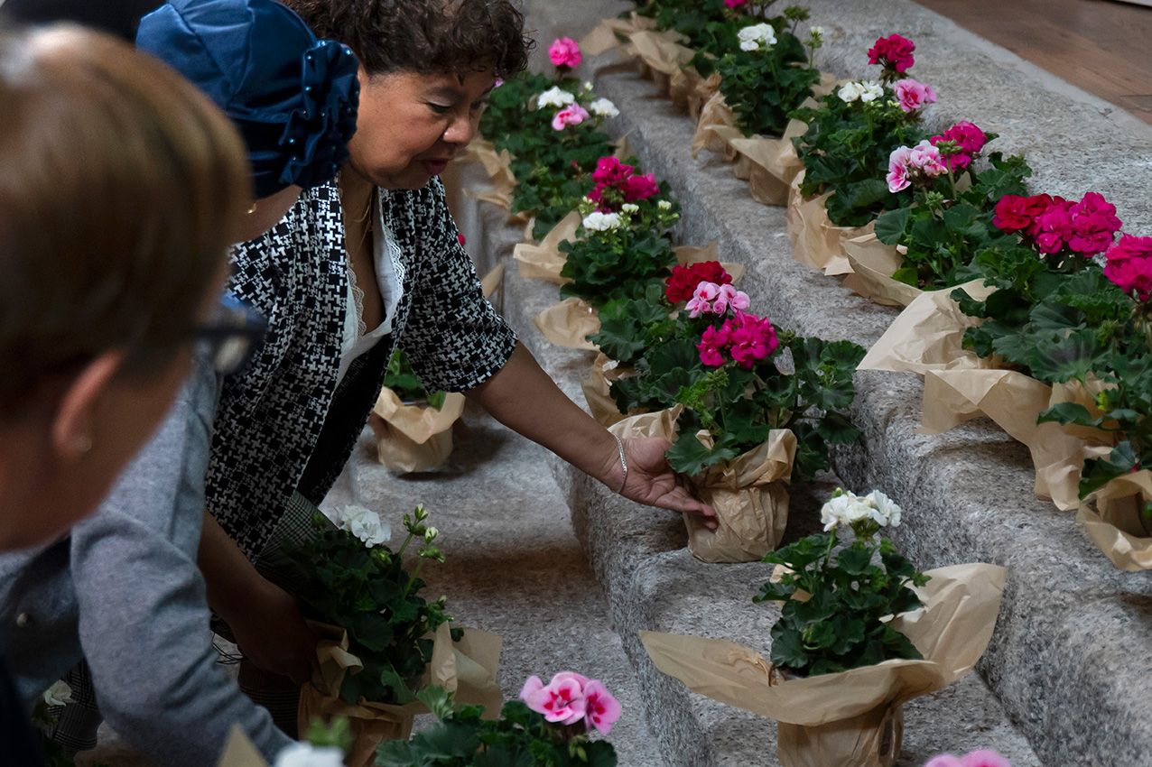 Woman arranging pink and white geranium plants wrapped in brown paper at an outdoor flower market display.