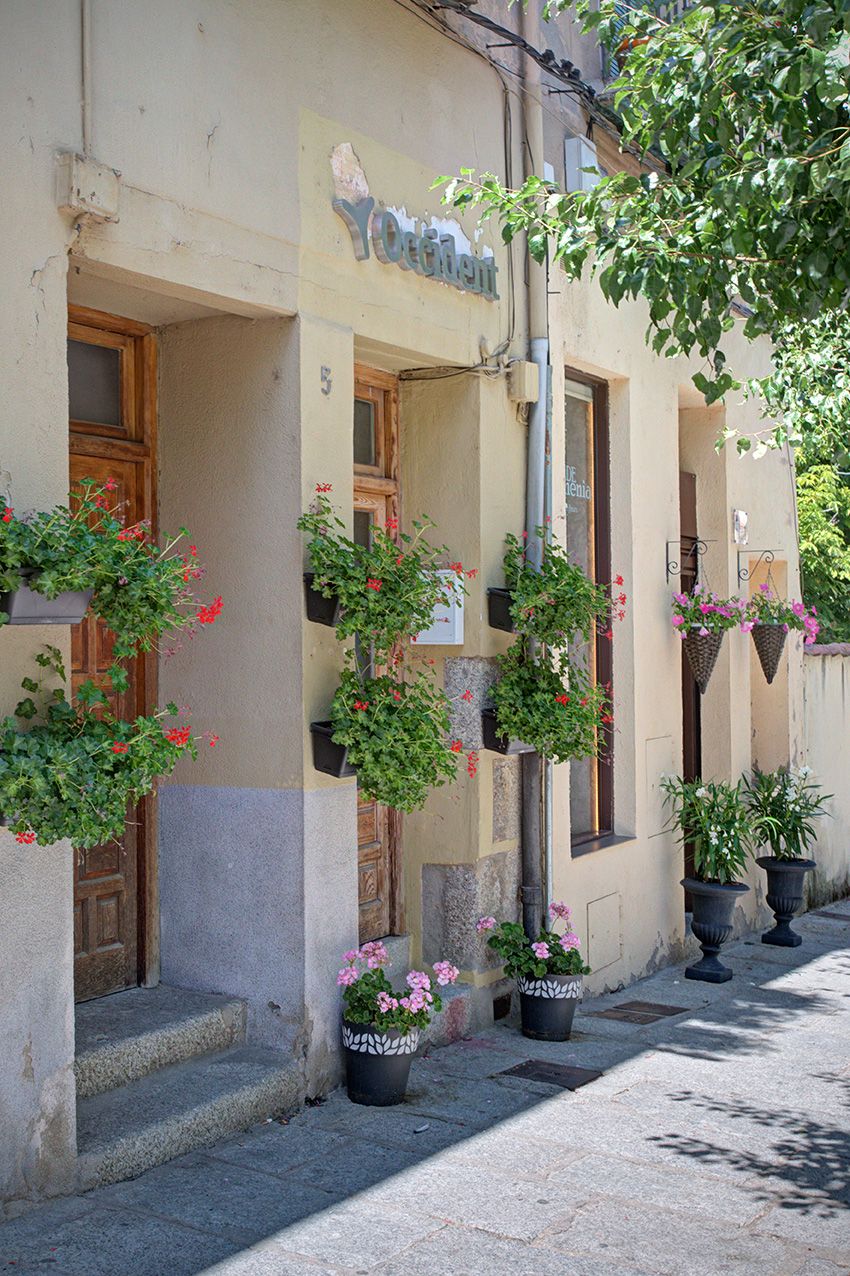 Charming European building entrance adorned with colorful flower pots and hanging baskets on a sunny cobblestone street.