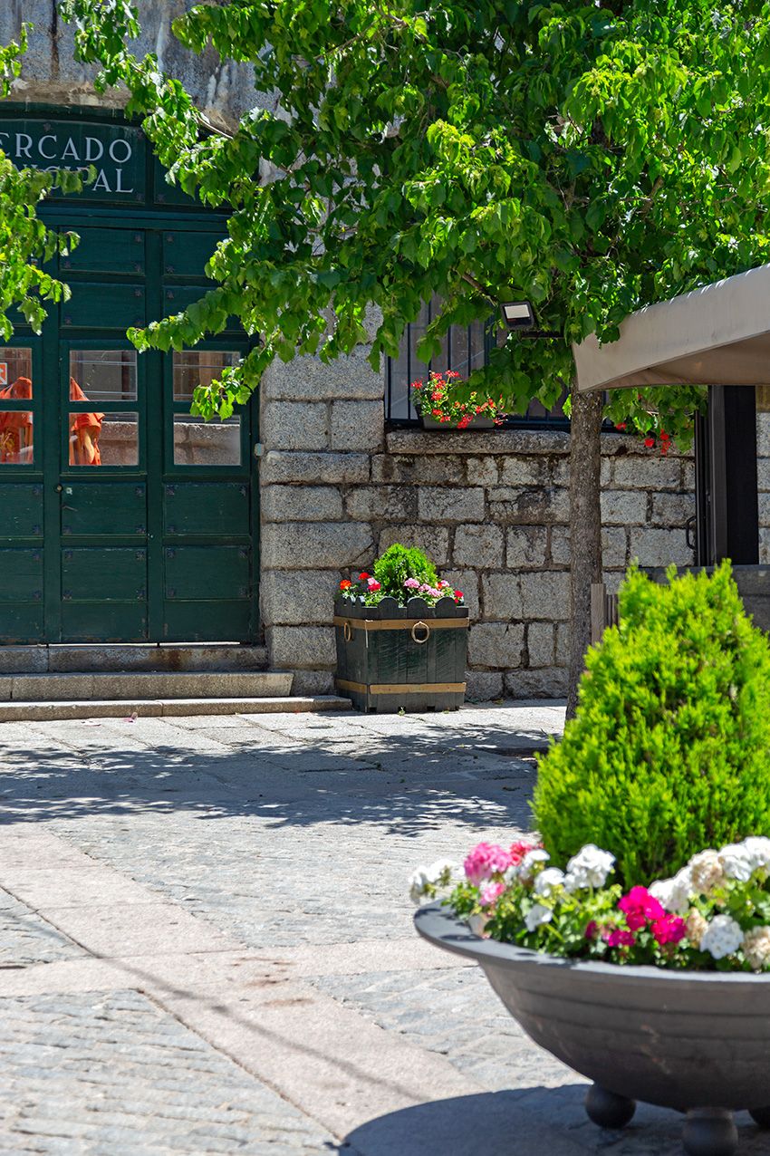 Charming cobblestone plaza with green market doors, stone walls, and colorful flower planters under a lush tree.