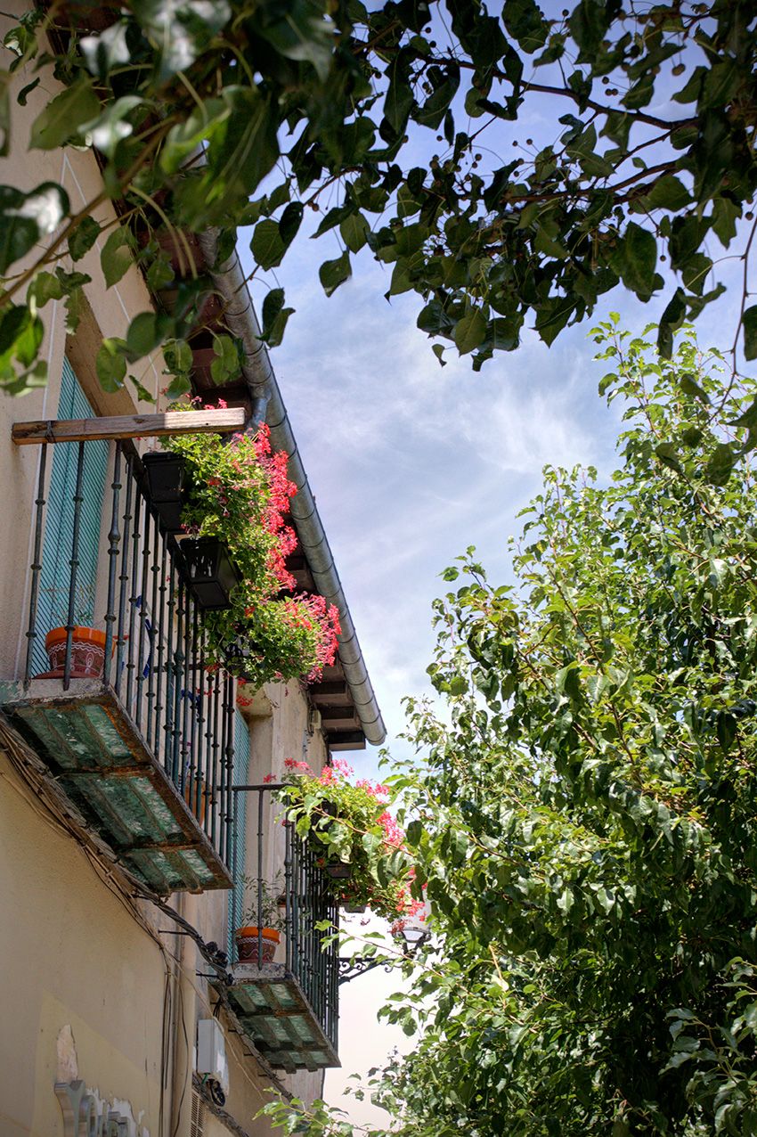 Charming balcony with vibrant red flowers and potted plants framed by lush green trees.