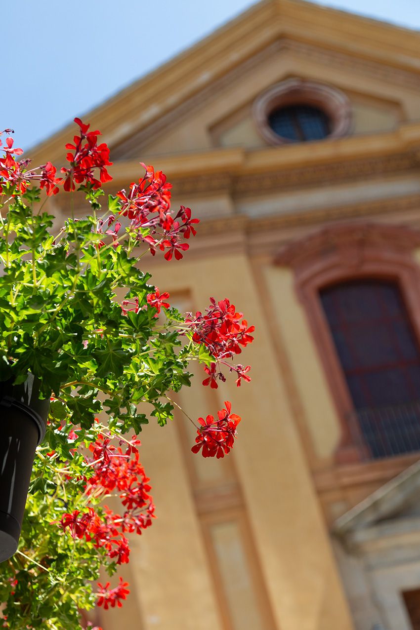 Vibrant red geraniums in a hanging basket with a blurred classical European church facade in background.