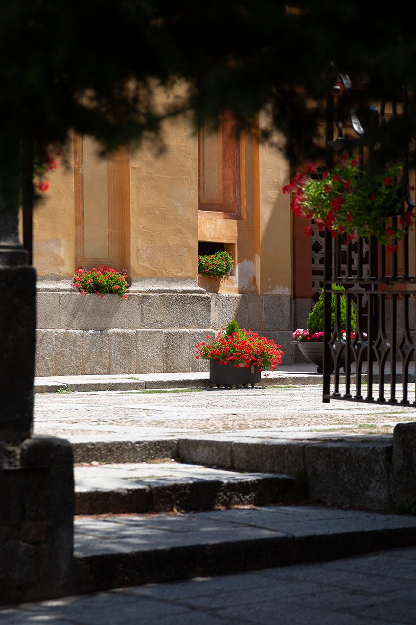 Sunlit European courtyard with red geraniums in stone planters, cobblestone pavement, and ornate iron gate.