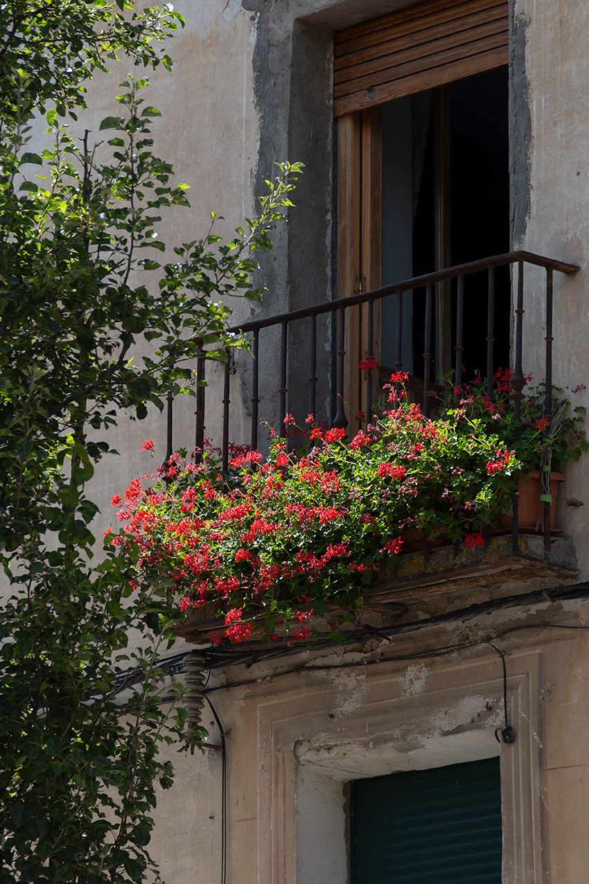 A charming balcony adorned with vibrant red geraniums in terracotta pots, framed by an ornate iron railing on a rustic building.