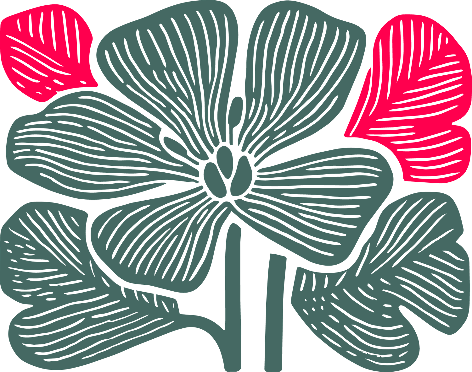 Decorative linocut illustration of a geranium flower in teal and pink for La Granja en Flor spring festival.