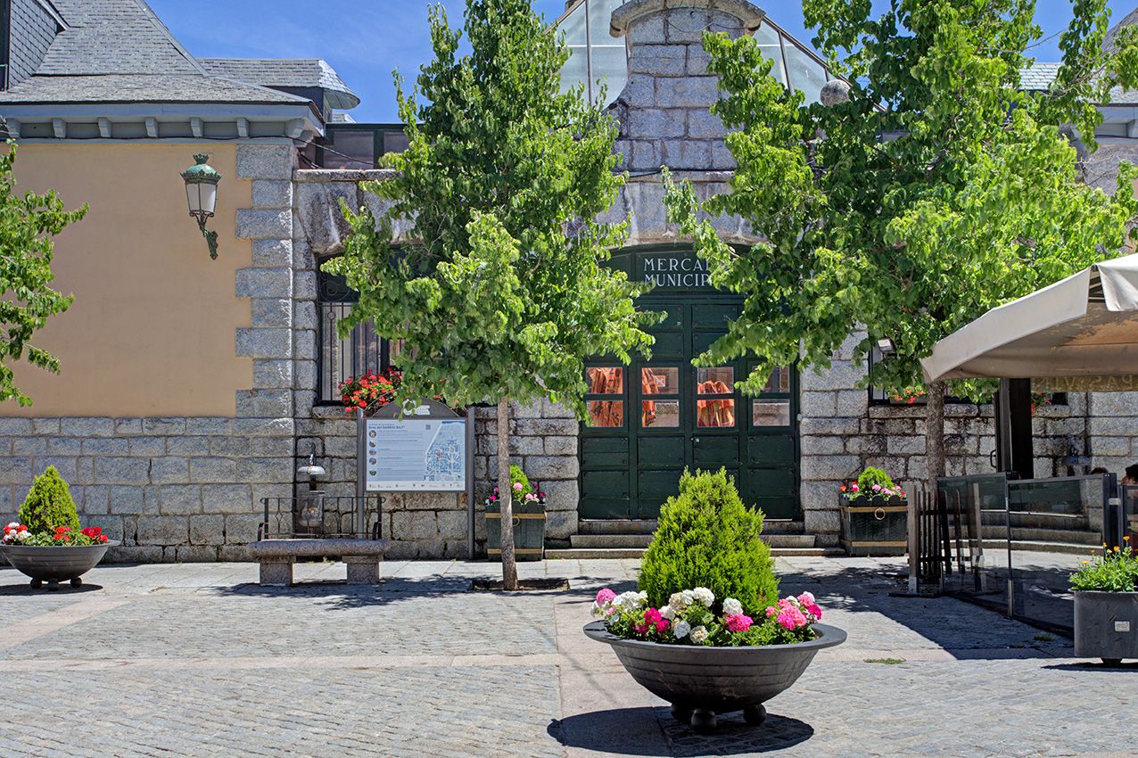 Charming stone courtyard with green trees, flower planters, and a green door entrance on a sunny day.