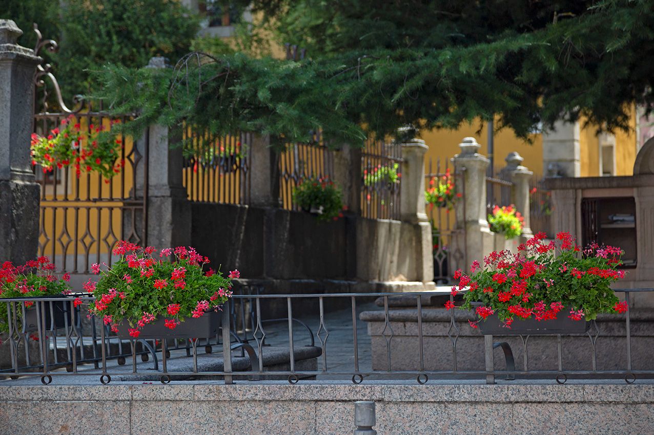 Red geraniums in flower boxes adorn iron railings outside a historic European building with yellow facade.