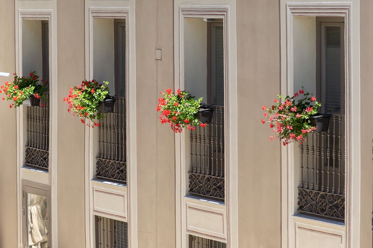 Parisian building facade with four tall windows adorned with decorative iron railings and vibrant red geranium flower boxes.