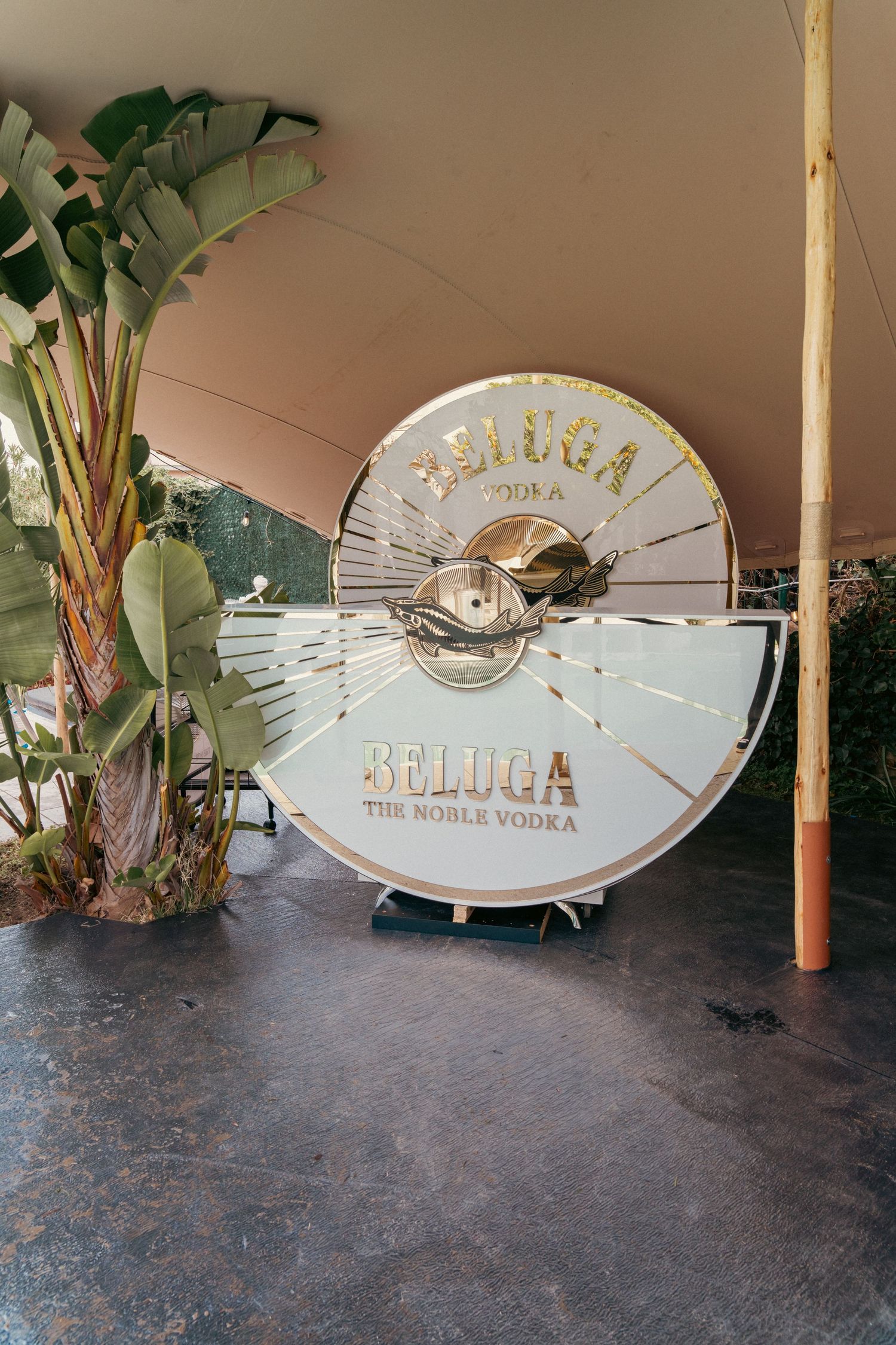 Beluga vodka branded display with decorative fan design and tropical plants.