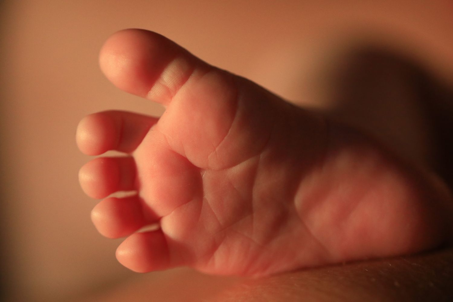 Séance photo bébé, photographie macro d'un petit pied de nourrisson